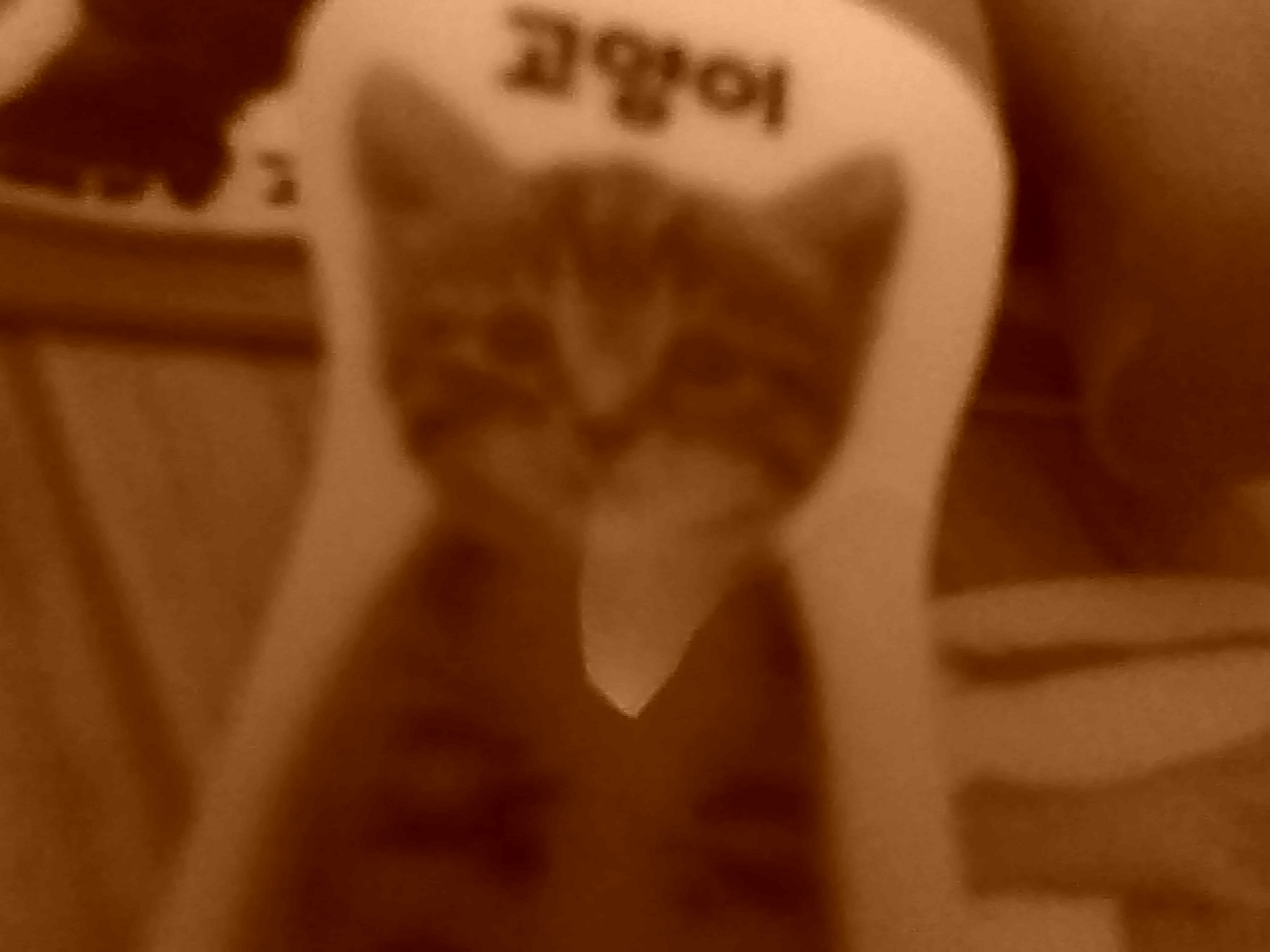 Untitled (Play), 2025