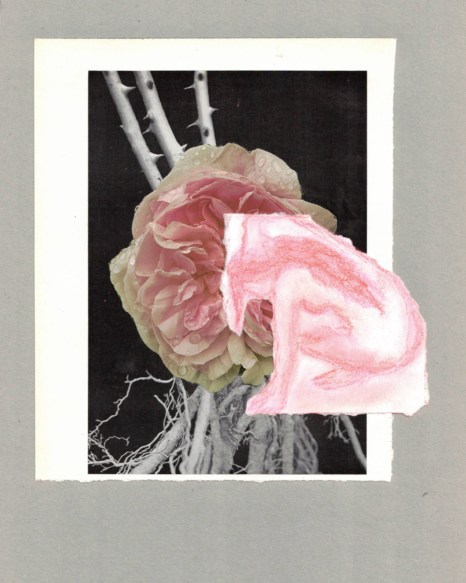 Untitled, Mixed Media Collage, 2026