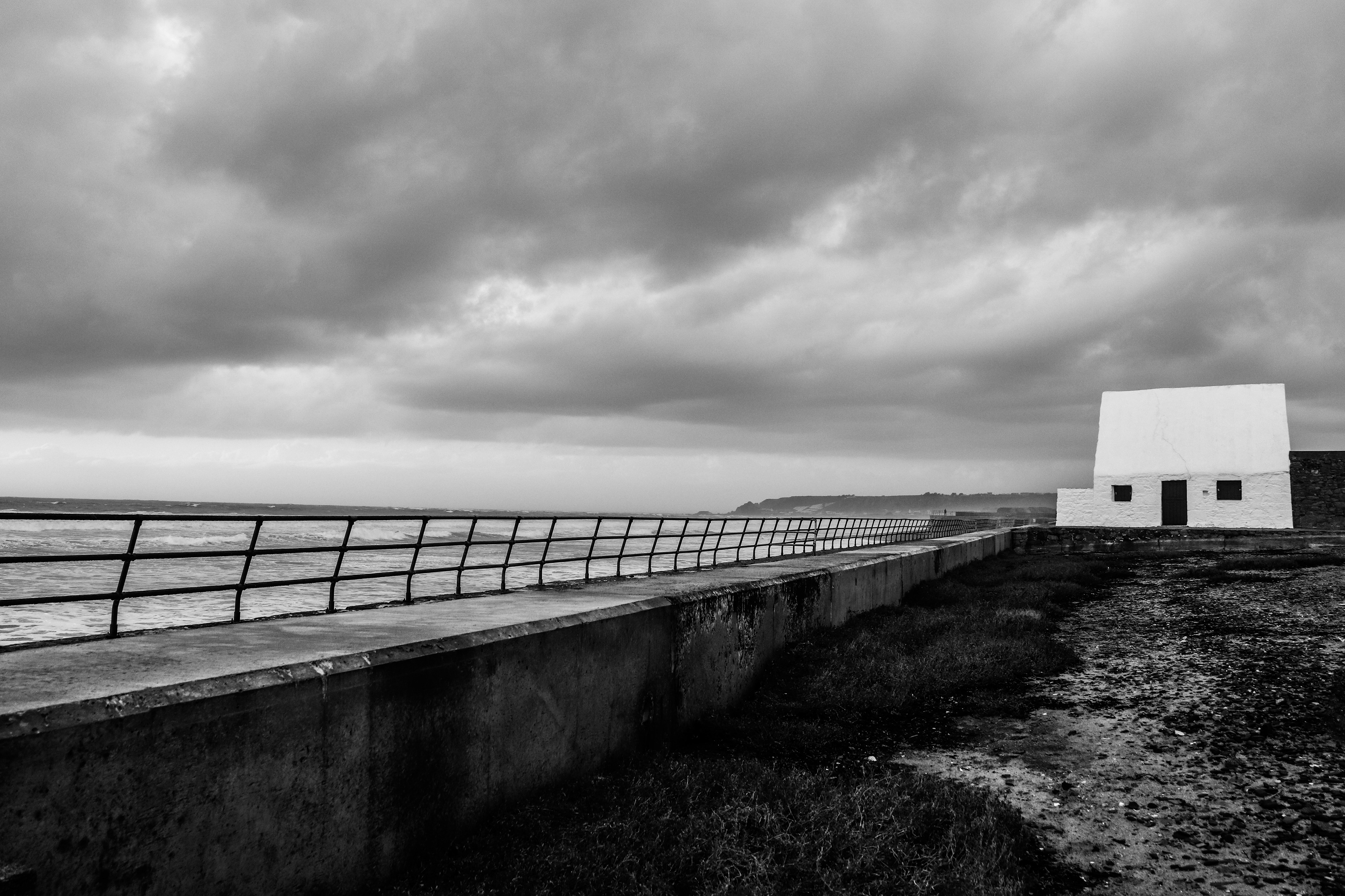 The Black and White White House