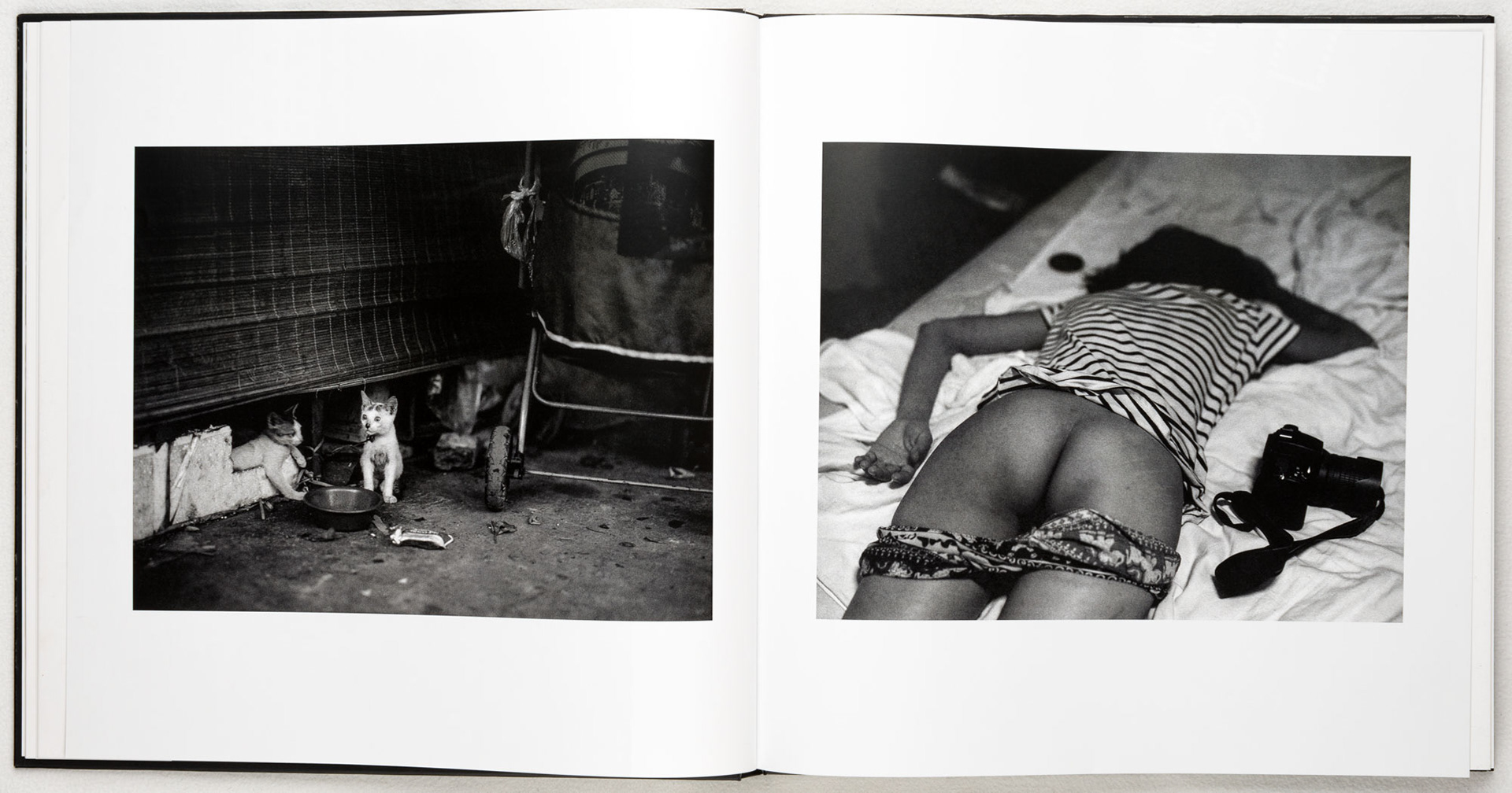 Image of two kittens and the model Nhan Nguyen in Vietnam, as taken by the photographer Tobias Ahlbrecht.