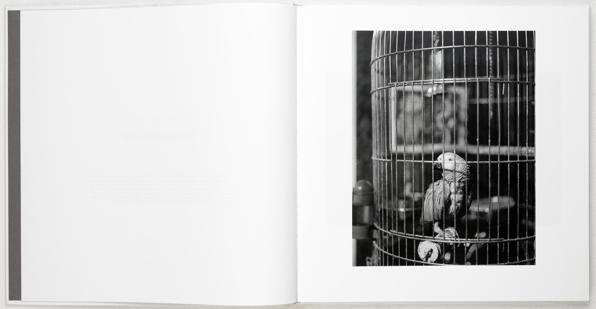 Bird in a cage as photographed by Tobias Ahlbrecht.
