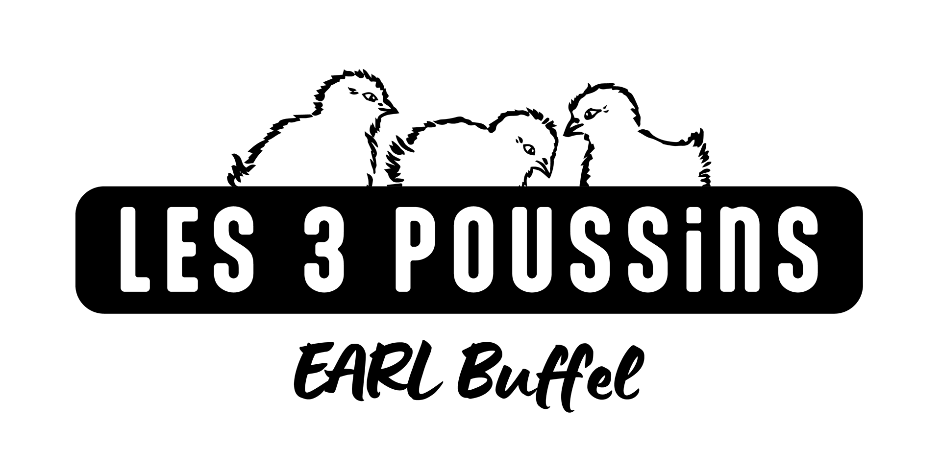 EARL Buffel - Les 3 poussins : Eleveur de volailles bio en Loir et Cher