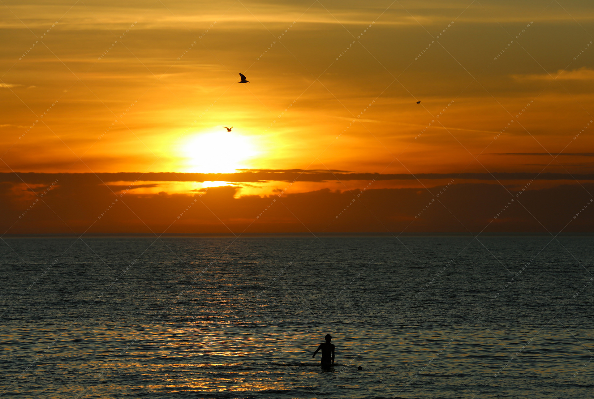 xxx Beach, Nov. 15, 2024