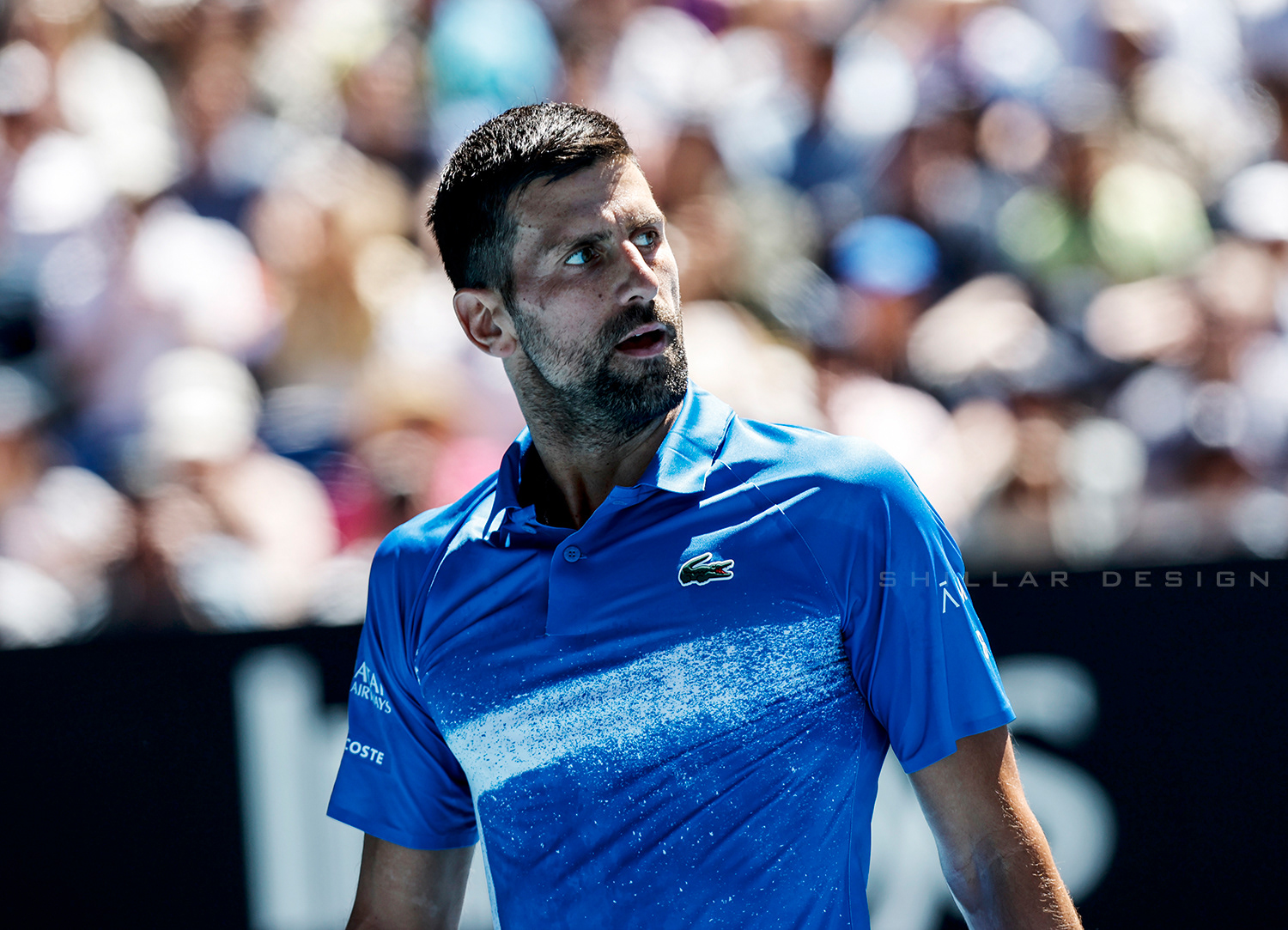 Novak Djokovic of Serbia, semifinal, Jan. 24, 2025