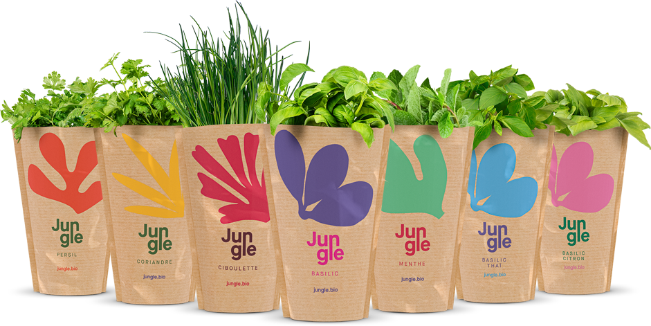 Jungle's rannge of live herbs packaging.
