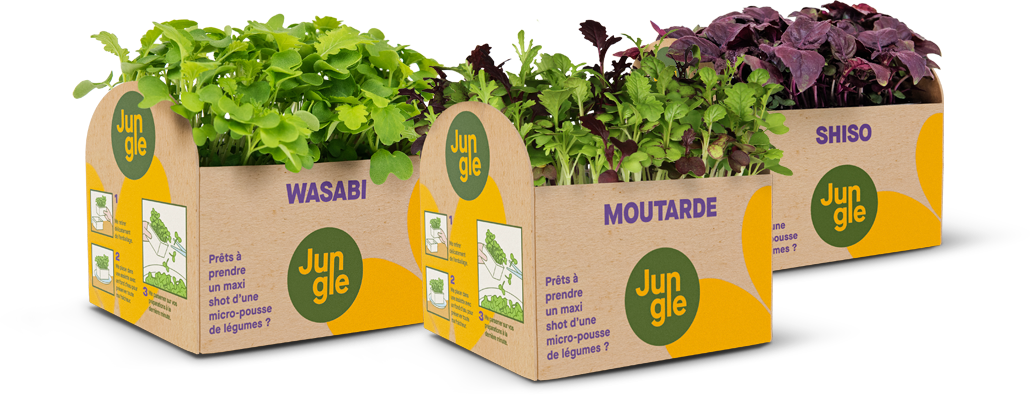 Jungle microgreens in pot packaging composite photo with mustard, wasabi and shiso. Design by José Soveral - Soveral Designer.