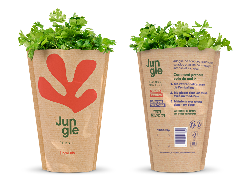 Jungle live fresh parsley in pot packaging