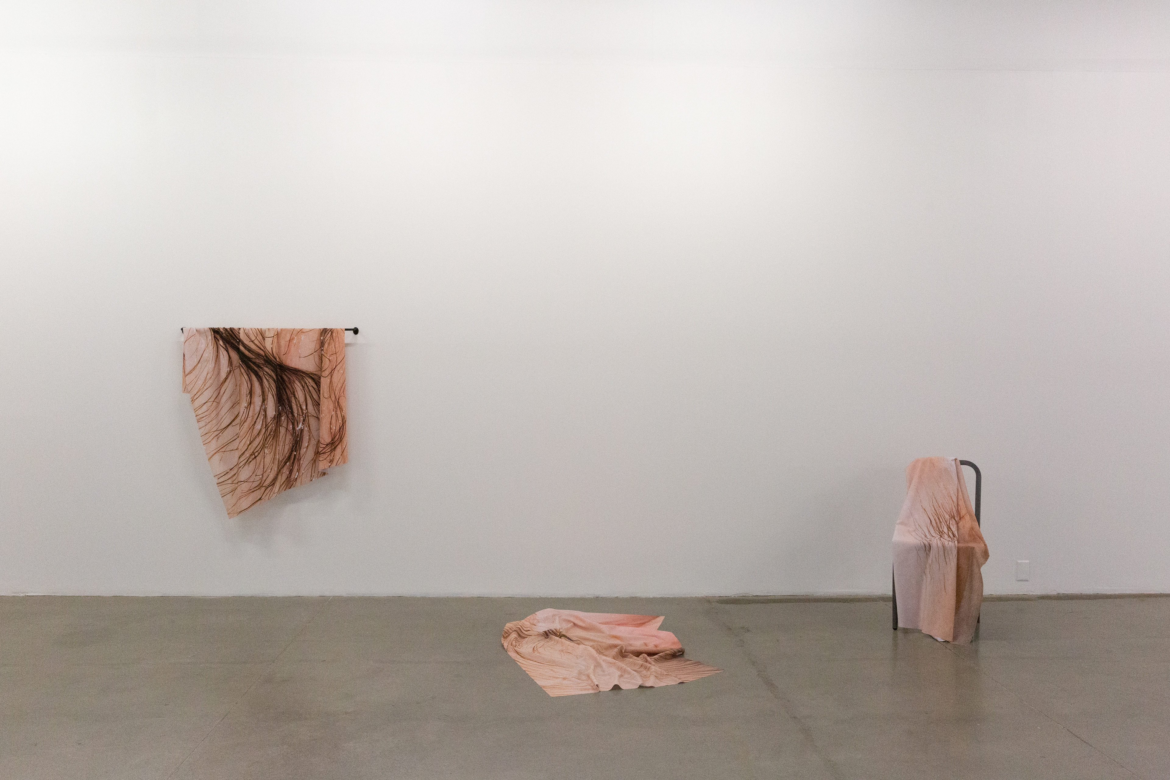 Installation at Arsenal Contemporary. Photo courtesy of Alexandra Votsis.