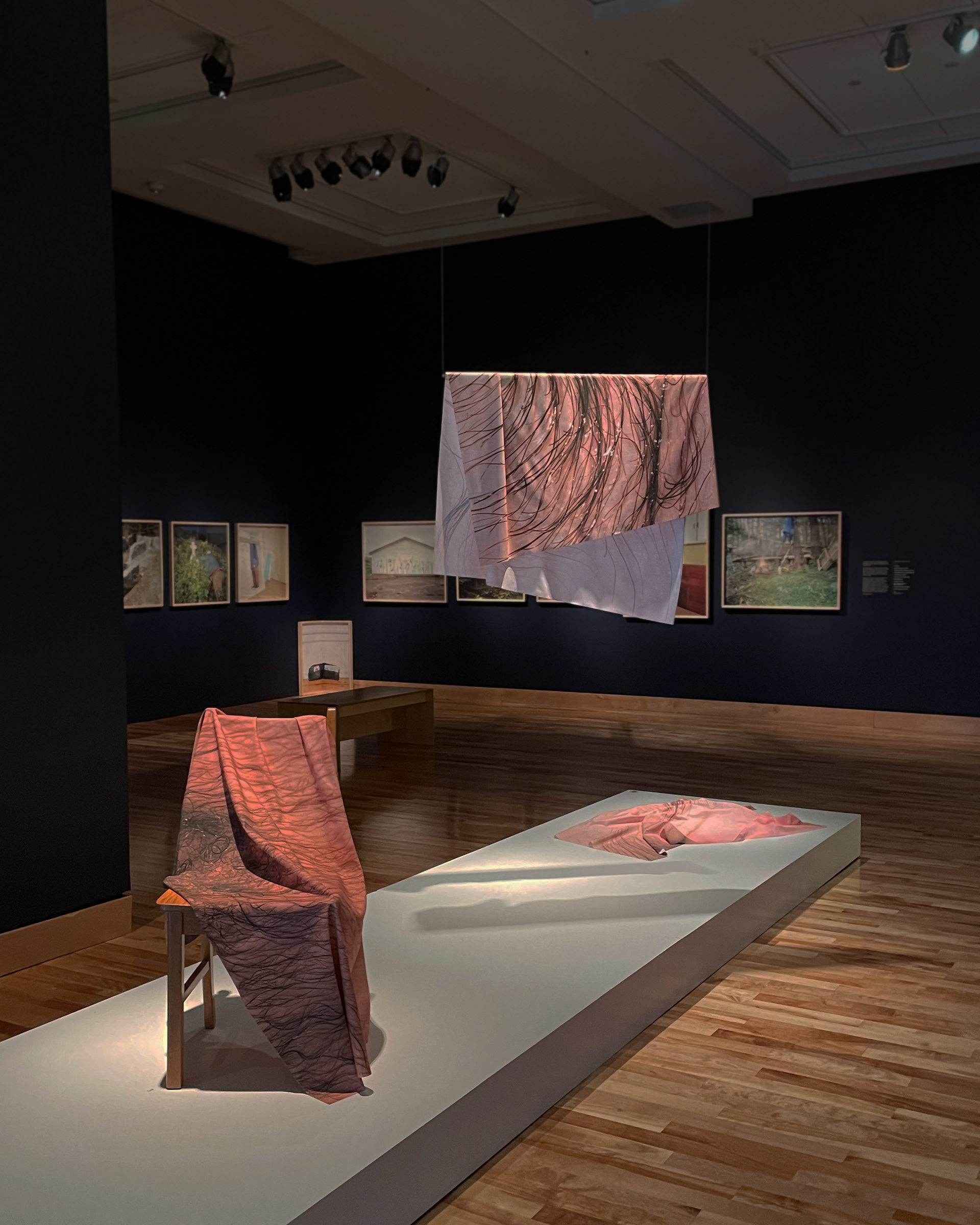 Installation at The Rooms Provincial Art Gallery as a part of the exhibition 'Me < > You' 2021-2022