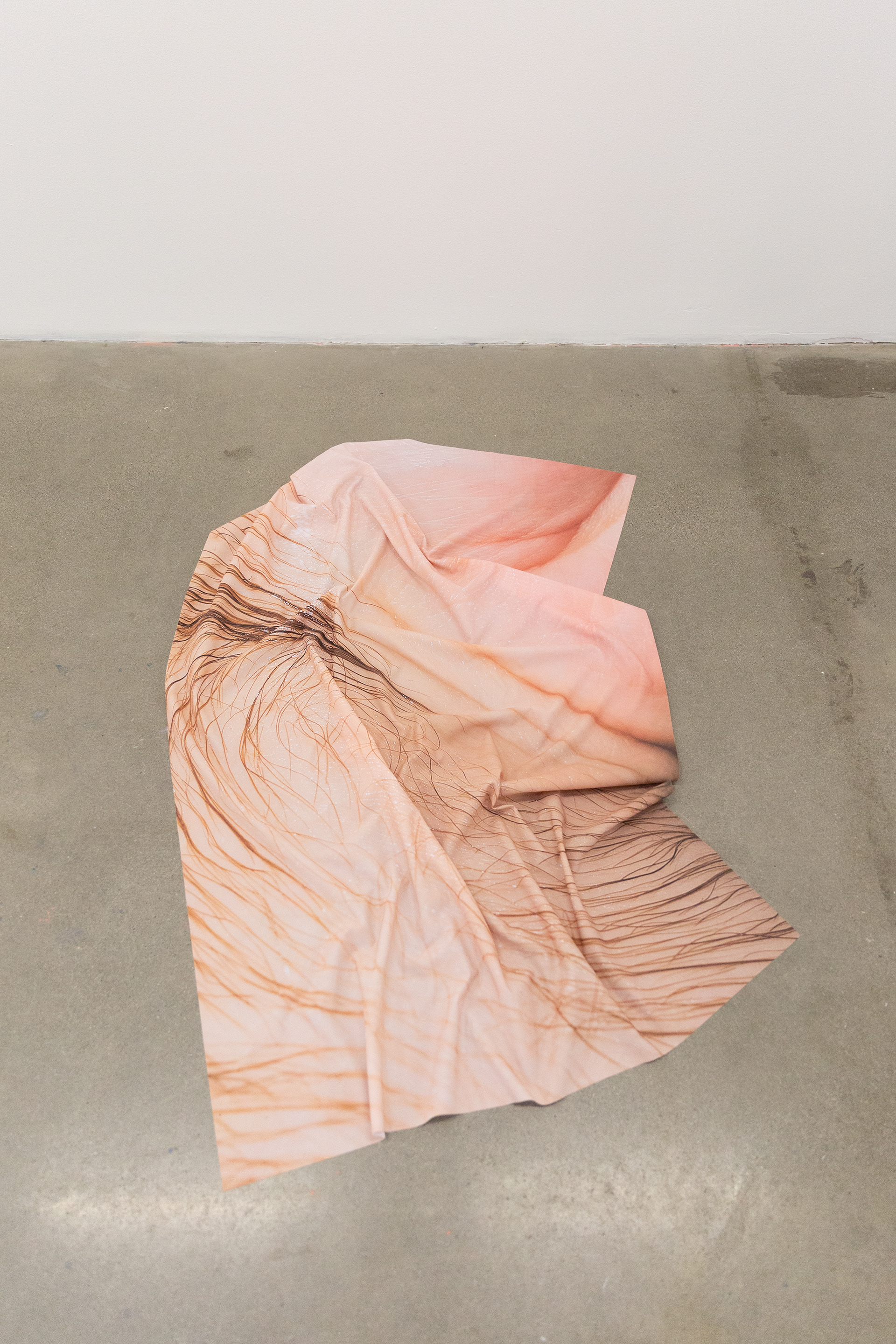 Installation at Arsenal Contemporary. Photo courtesy of Alexandra Votsis.