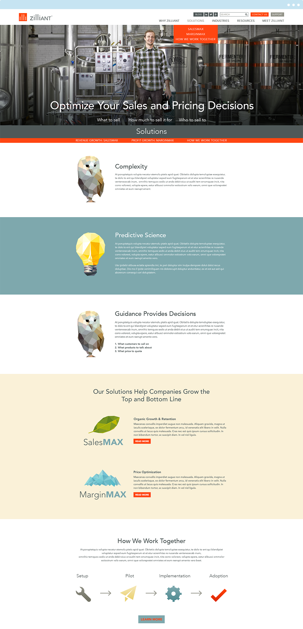 Zilliant - Freelance Web Design & Sub-page Design by Chris Atkins Design