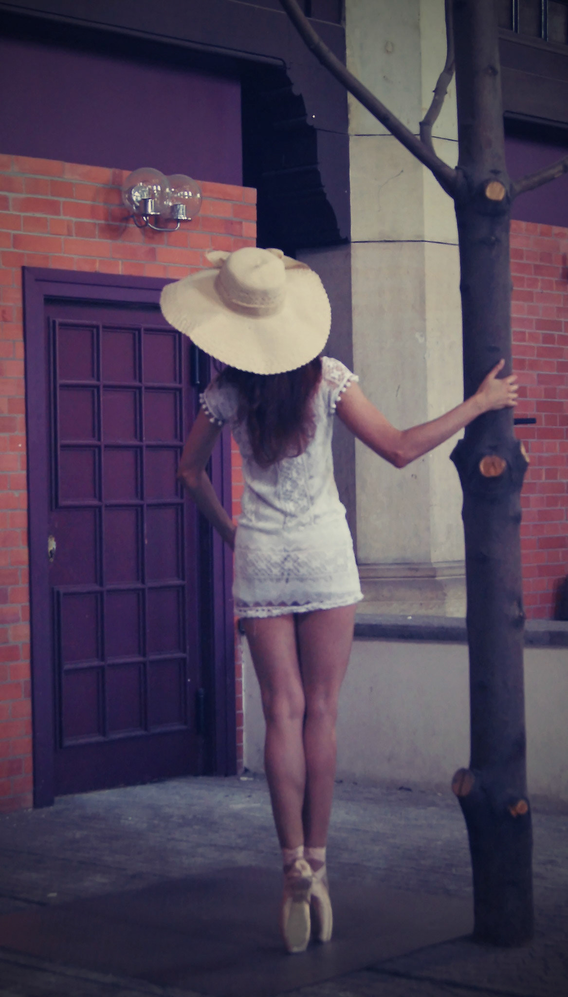SONY DSC