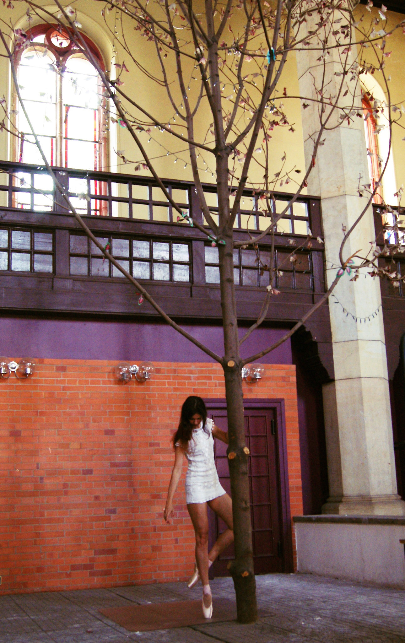 SONY DSC