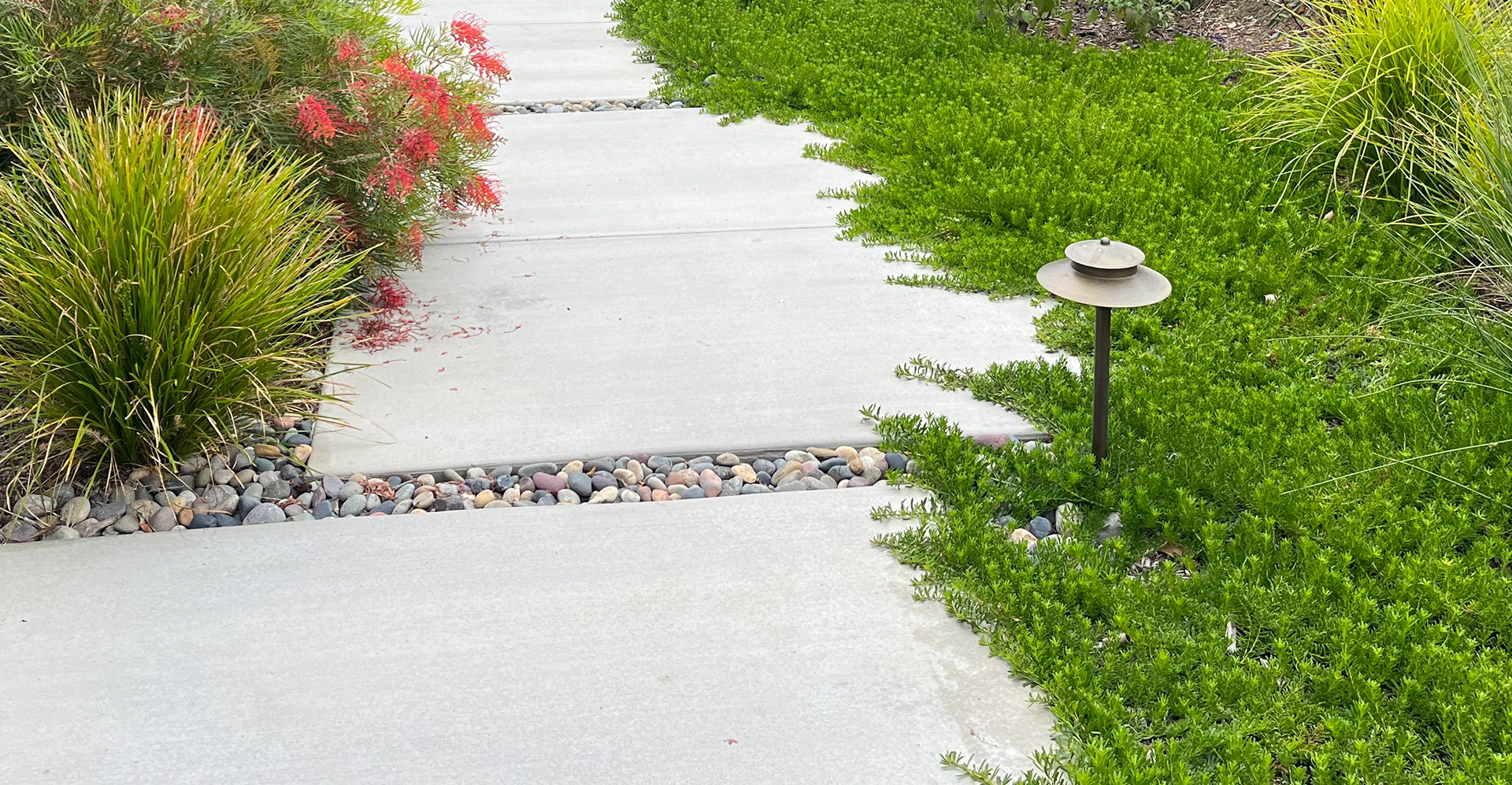 BACKYARD WALKWAY