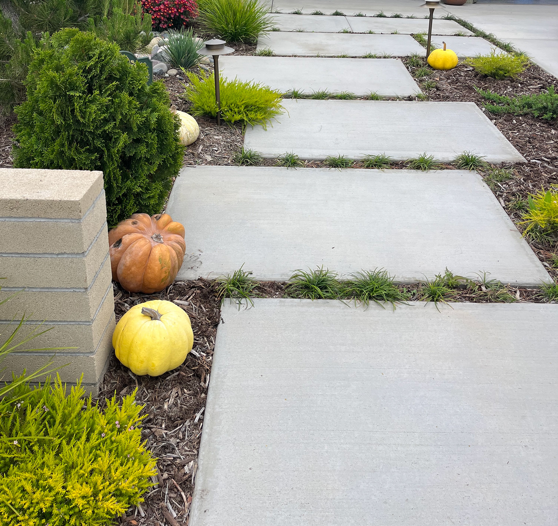 FRONT WALKWAY