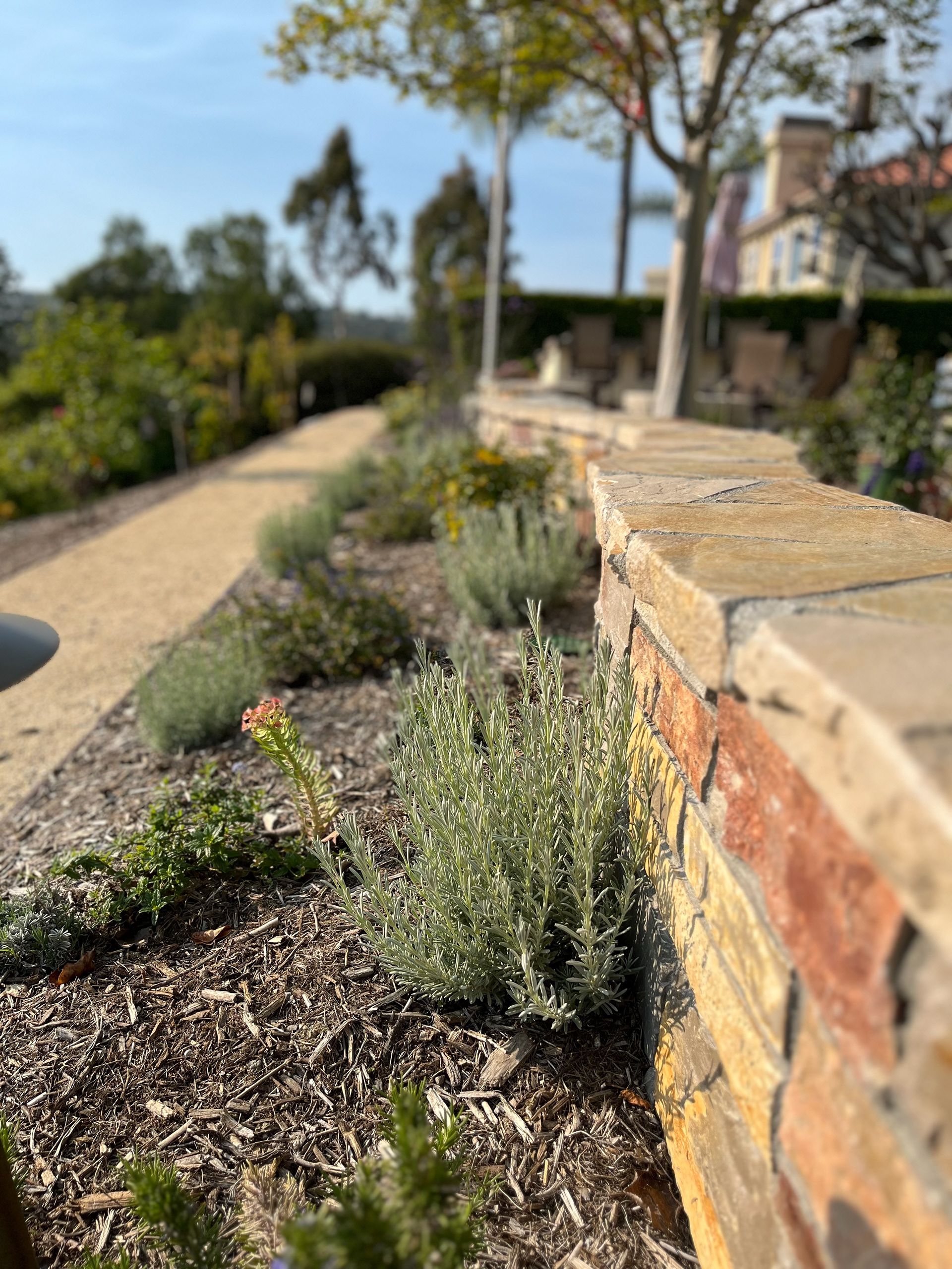 TERRACED SEAT WALL