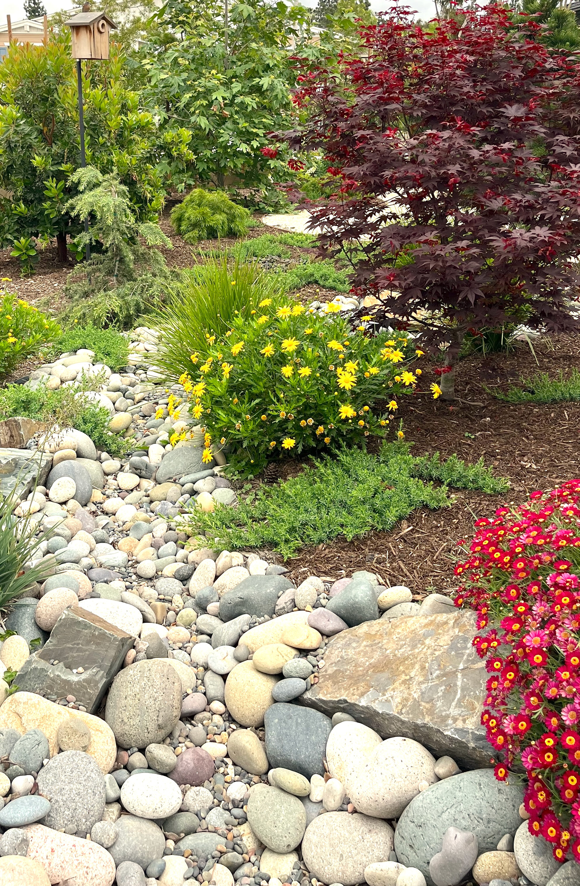 FRONT YARD SWALE