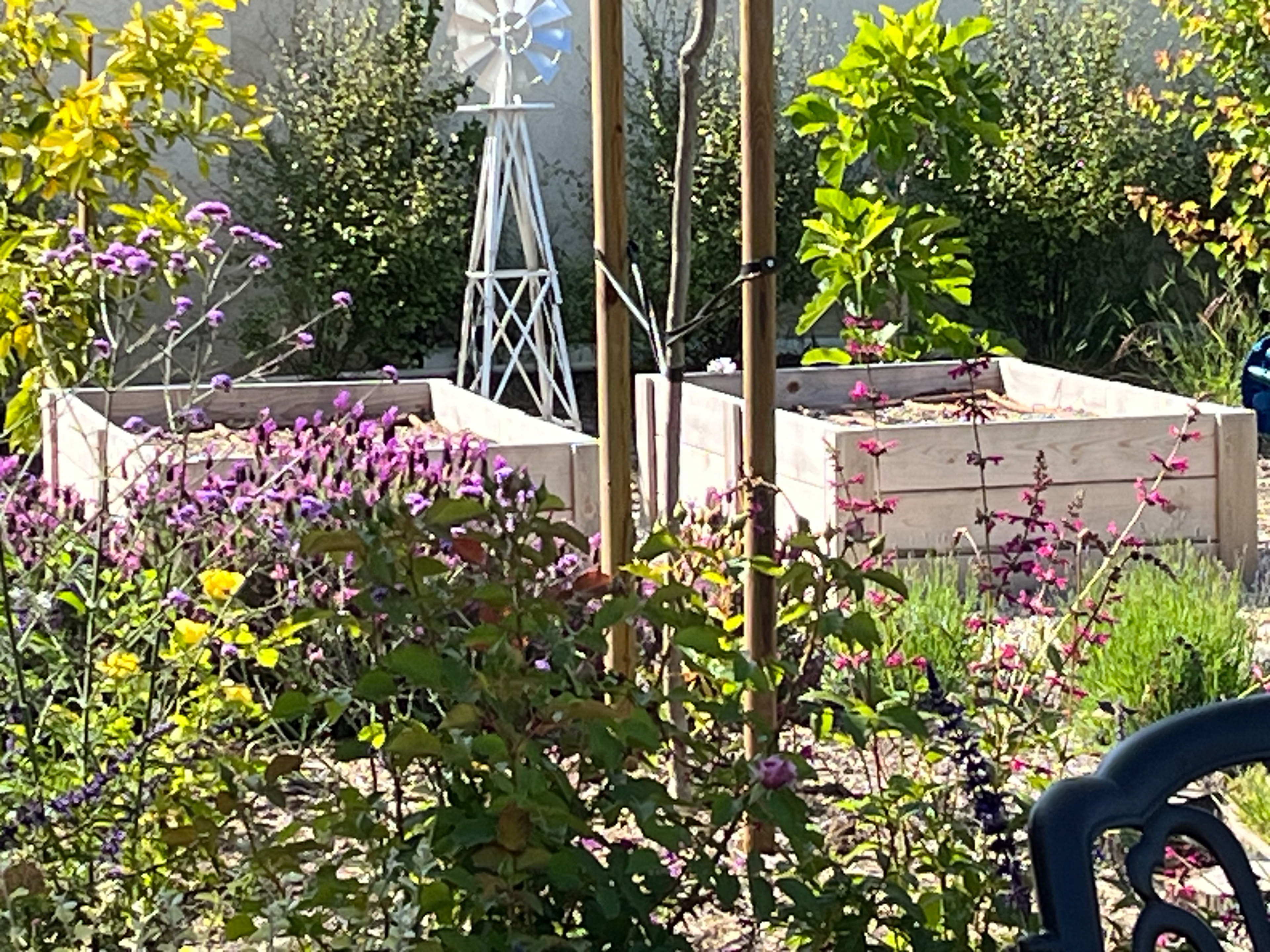 VEG GARDEN