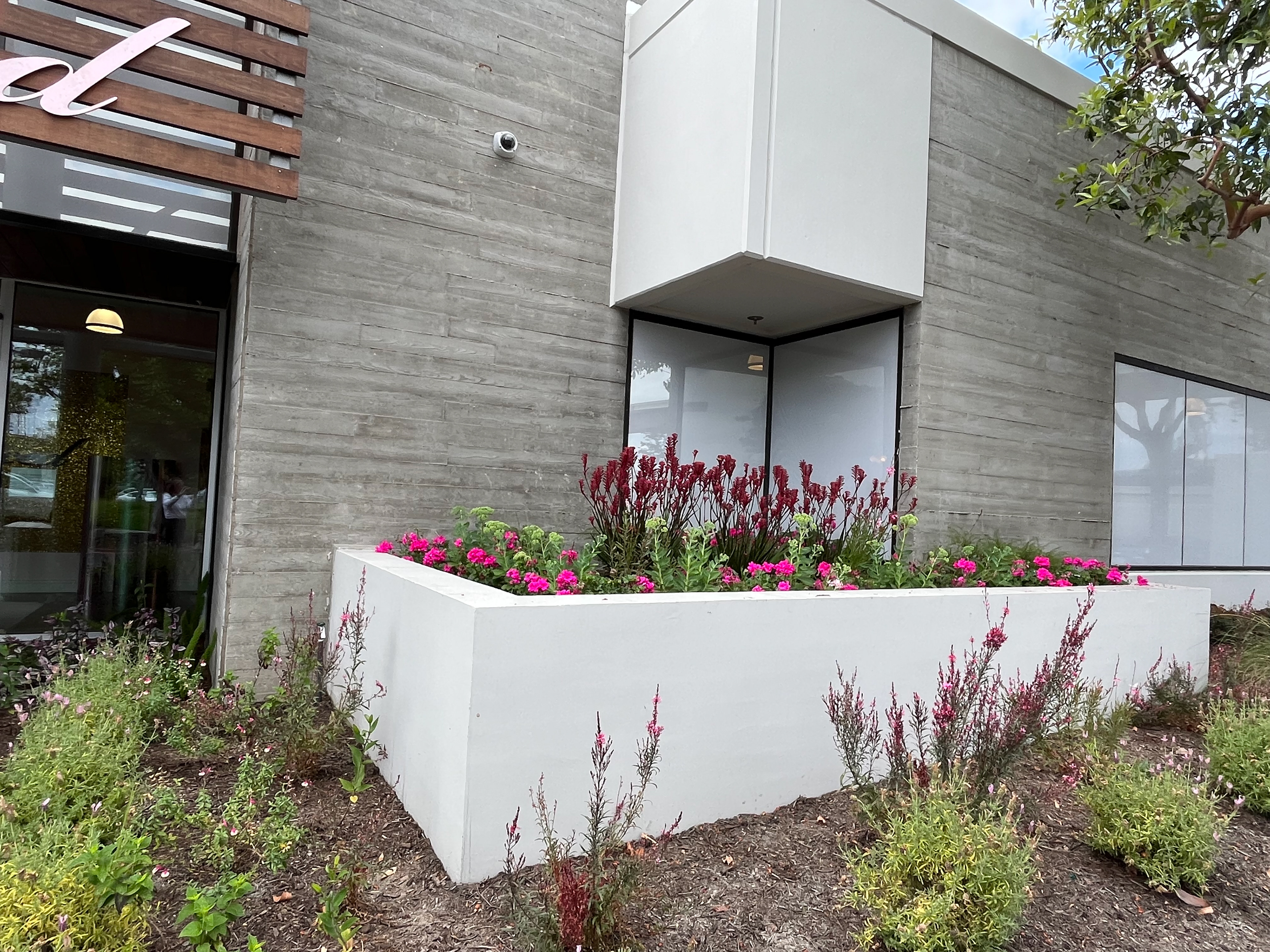MAIN ENTRANCE  RAISED PLANTER /SEASONAL BLOOMS
