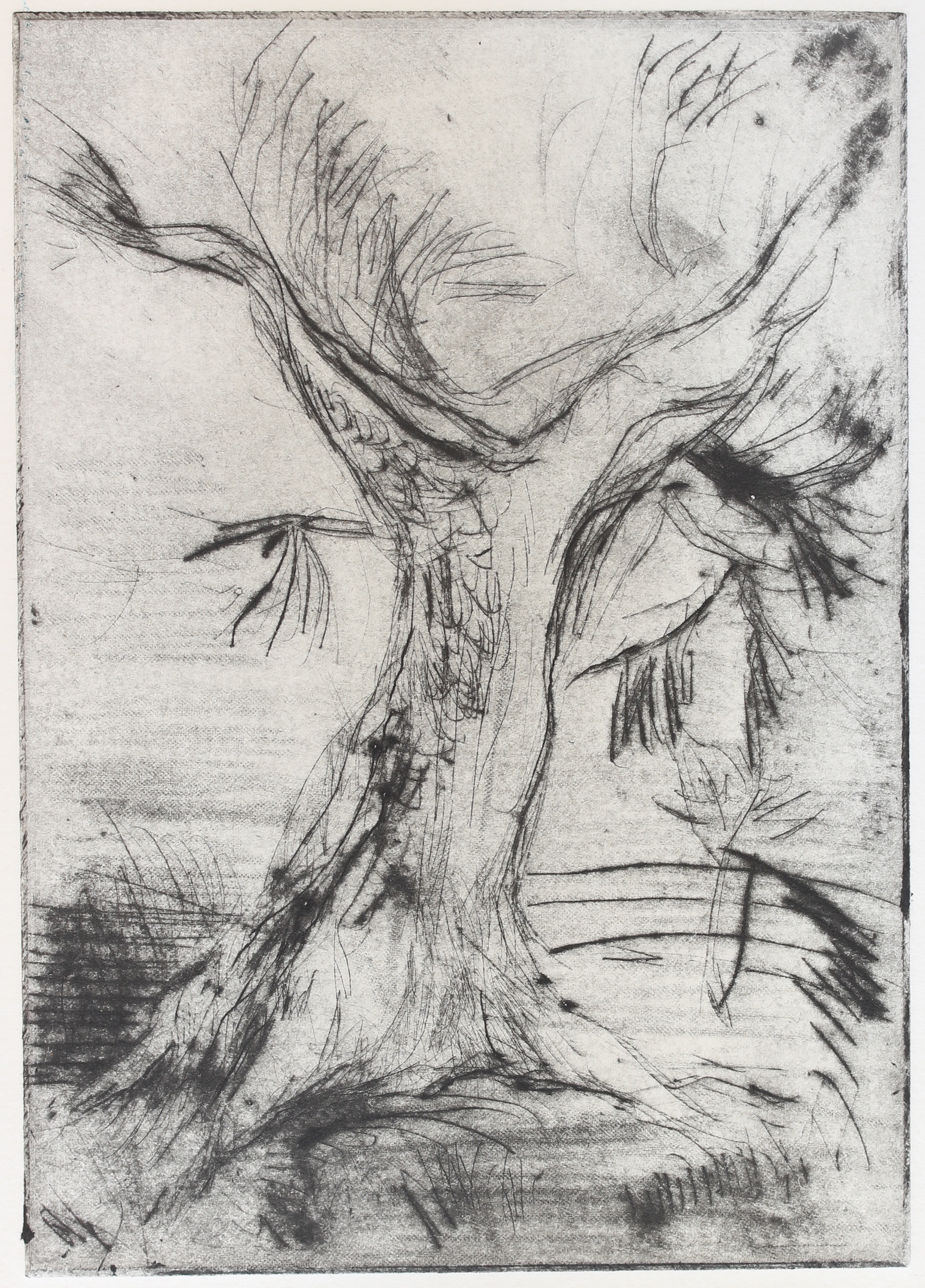 Tree - Alone