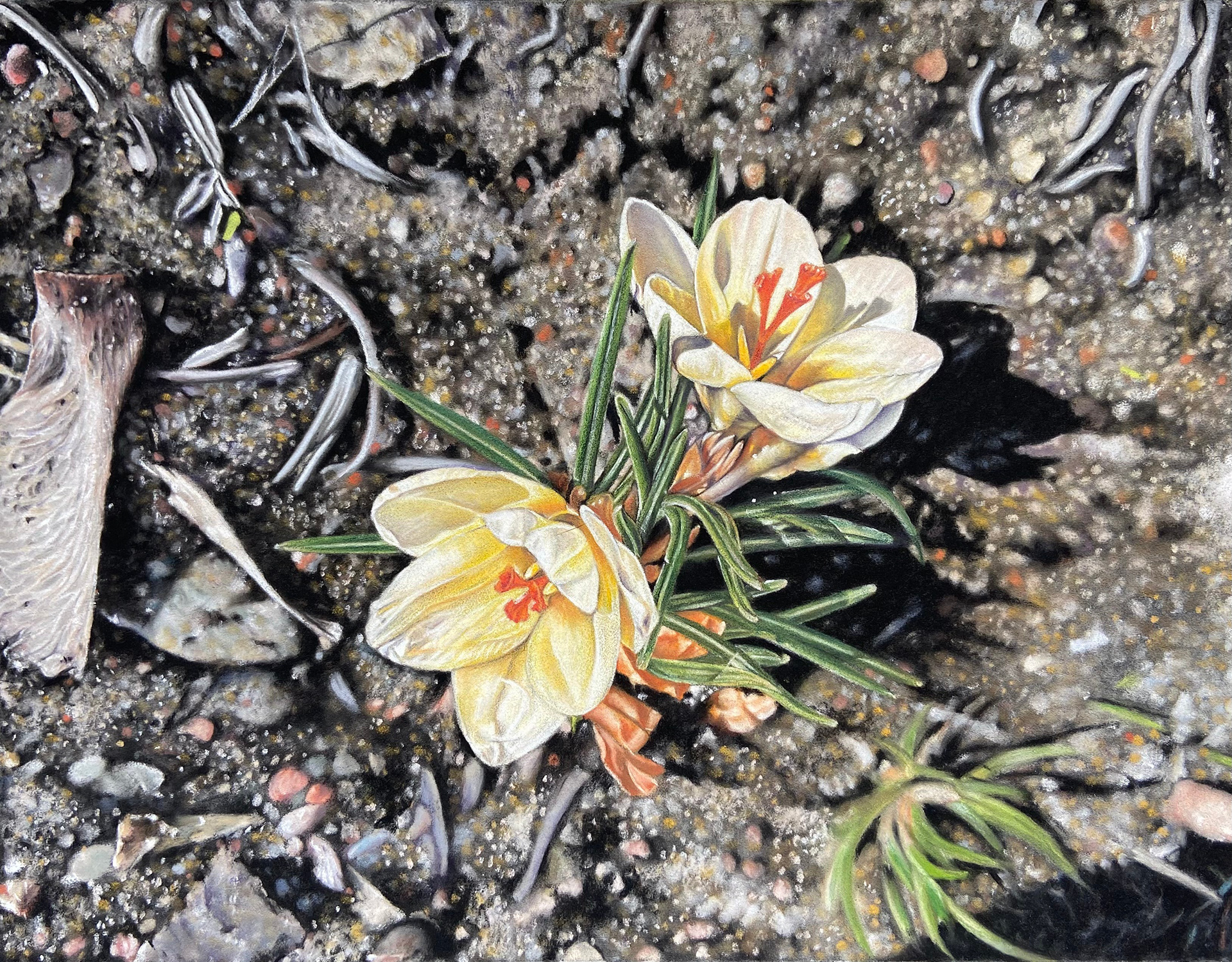 Birth of Nature