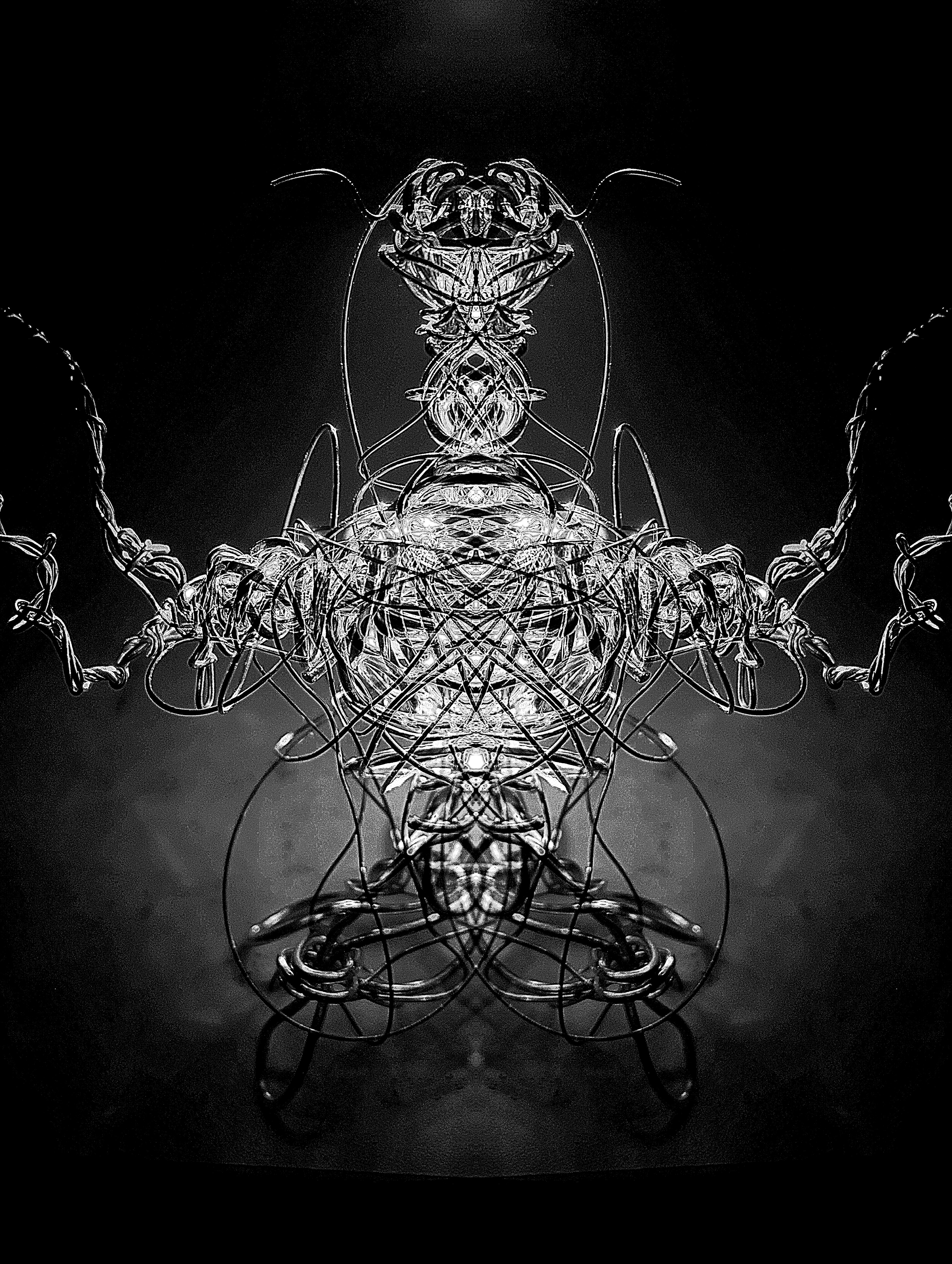 Metamorphosis
