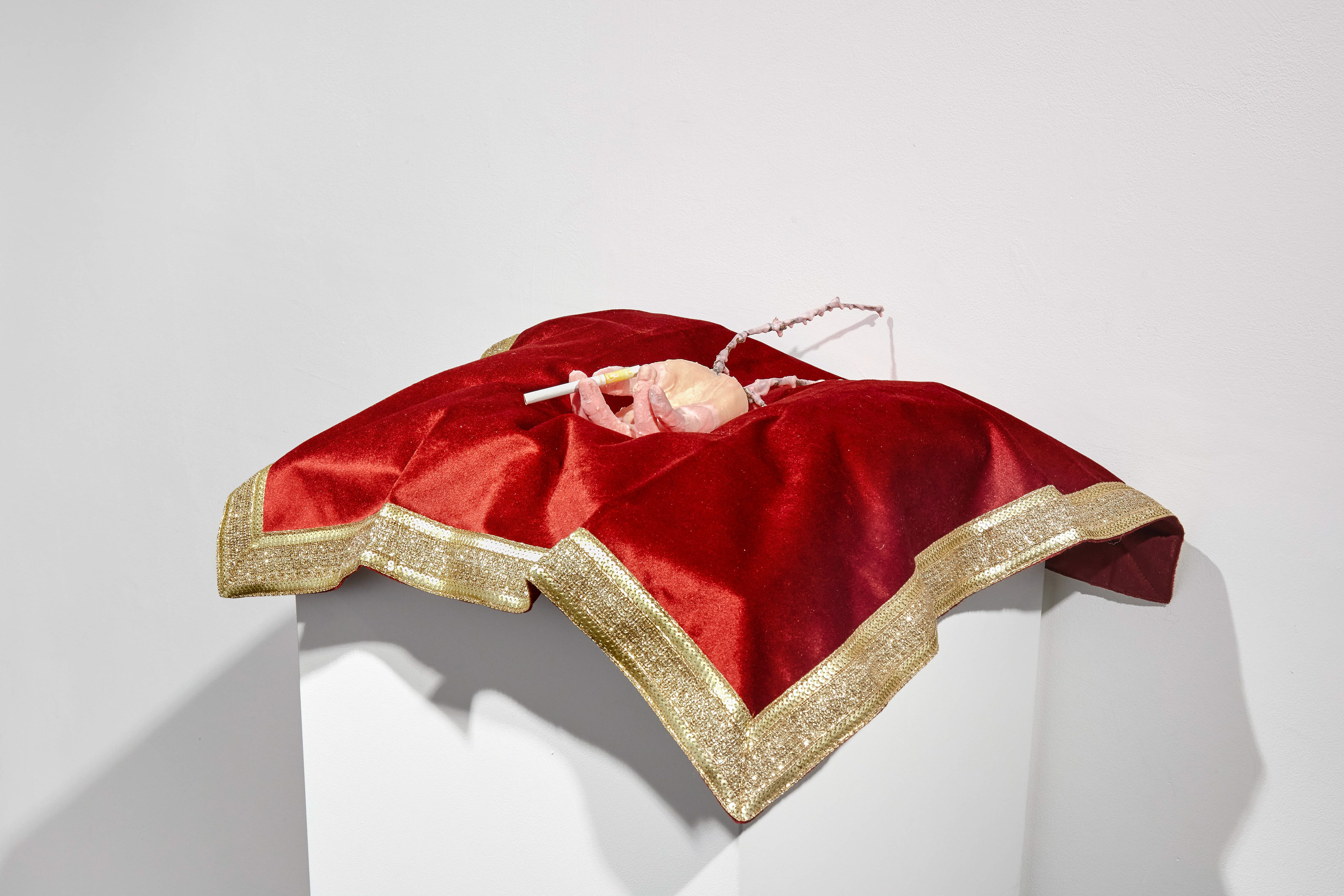 Growing new a hand from the nerves