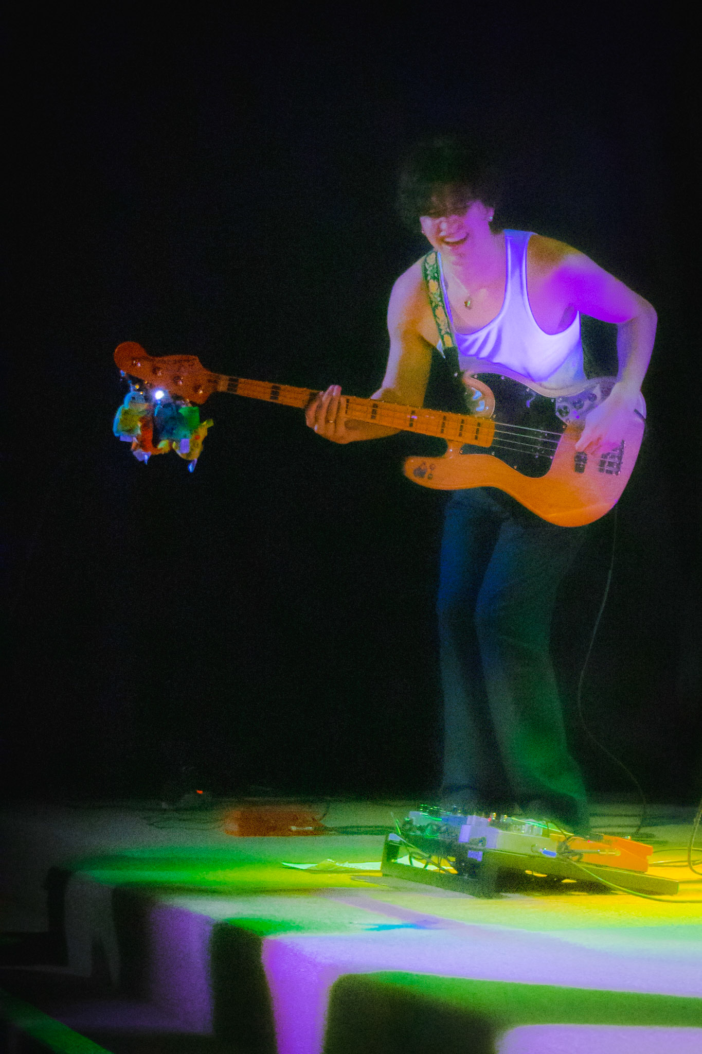 bellerose at The Litterbox