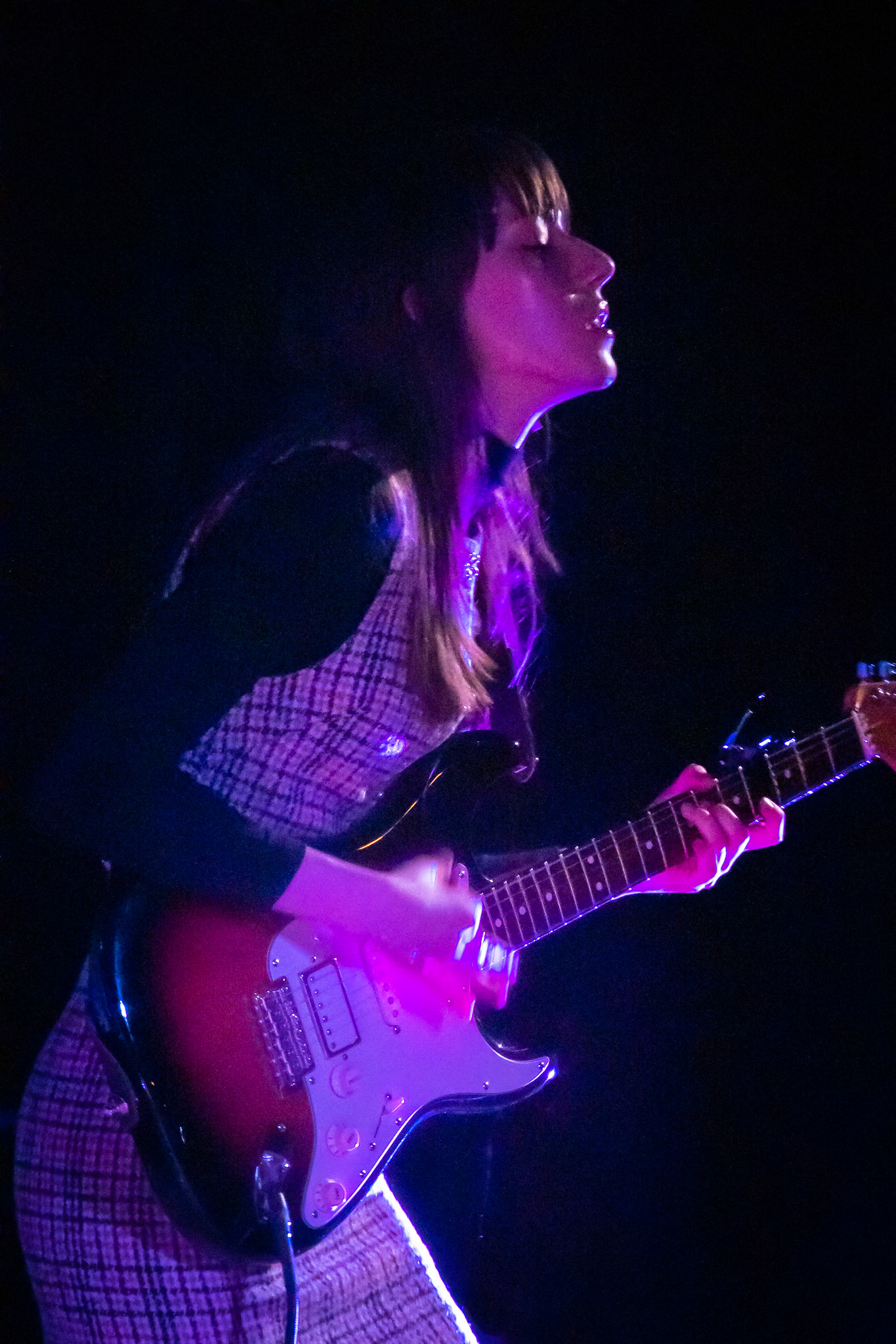 Veronica Everheart at The Litterbox