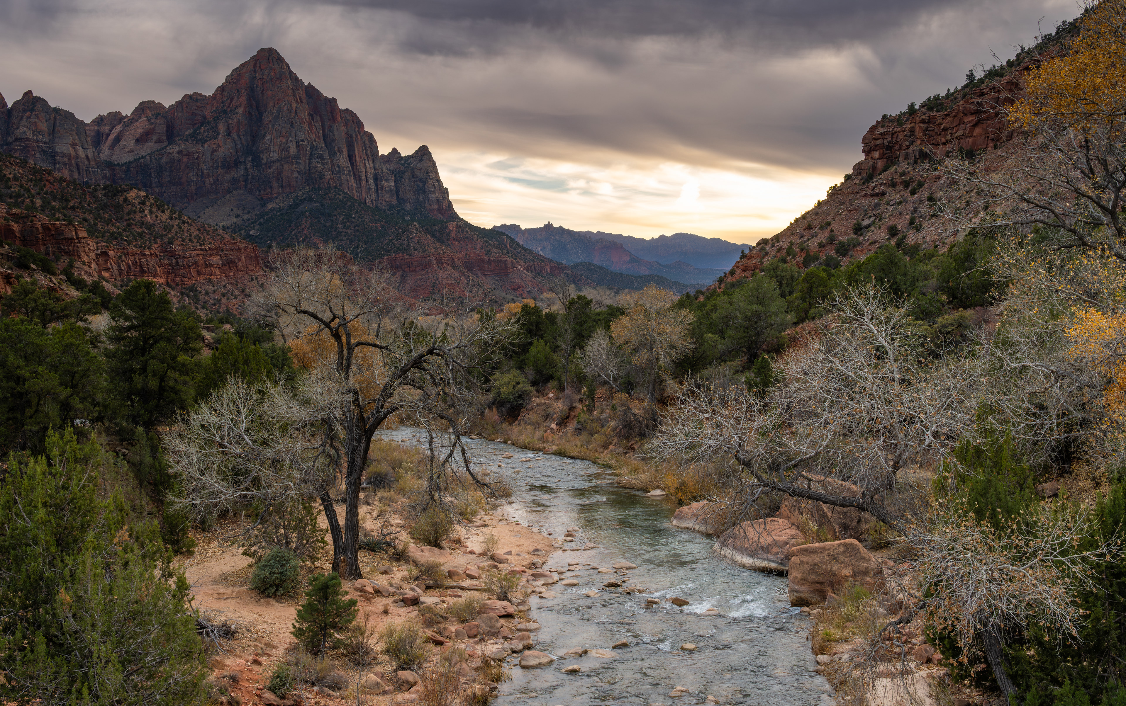 The Watchman