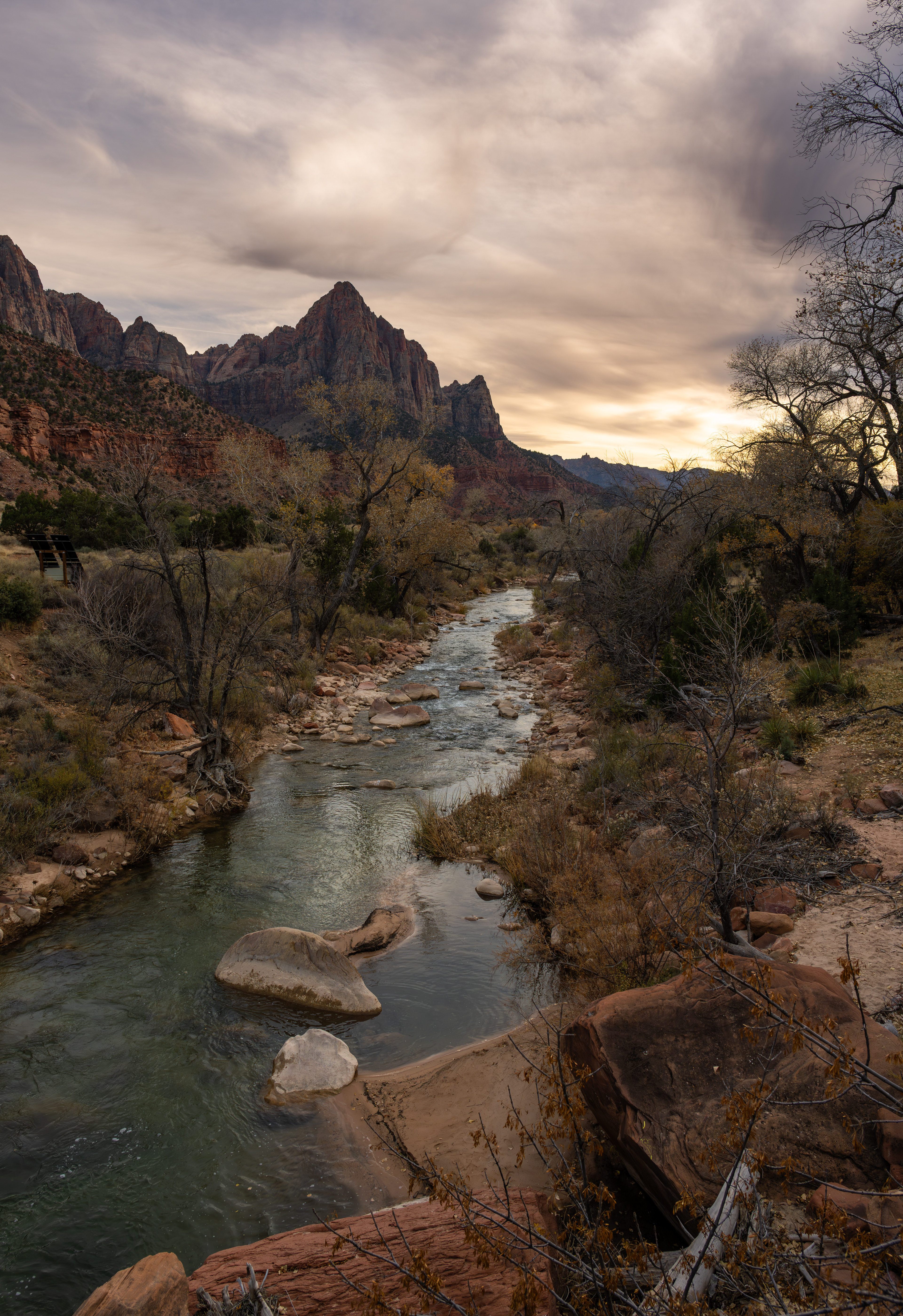 The Watchman