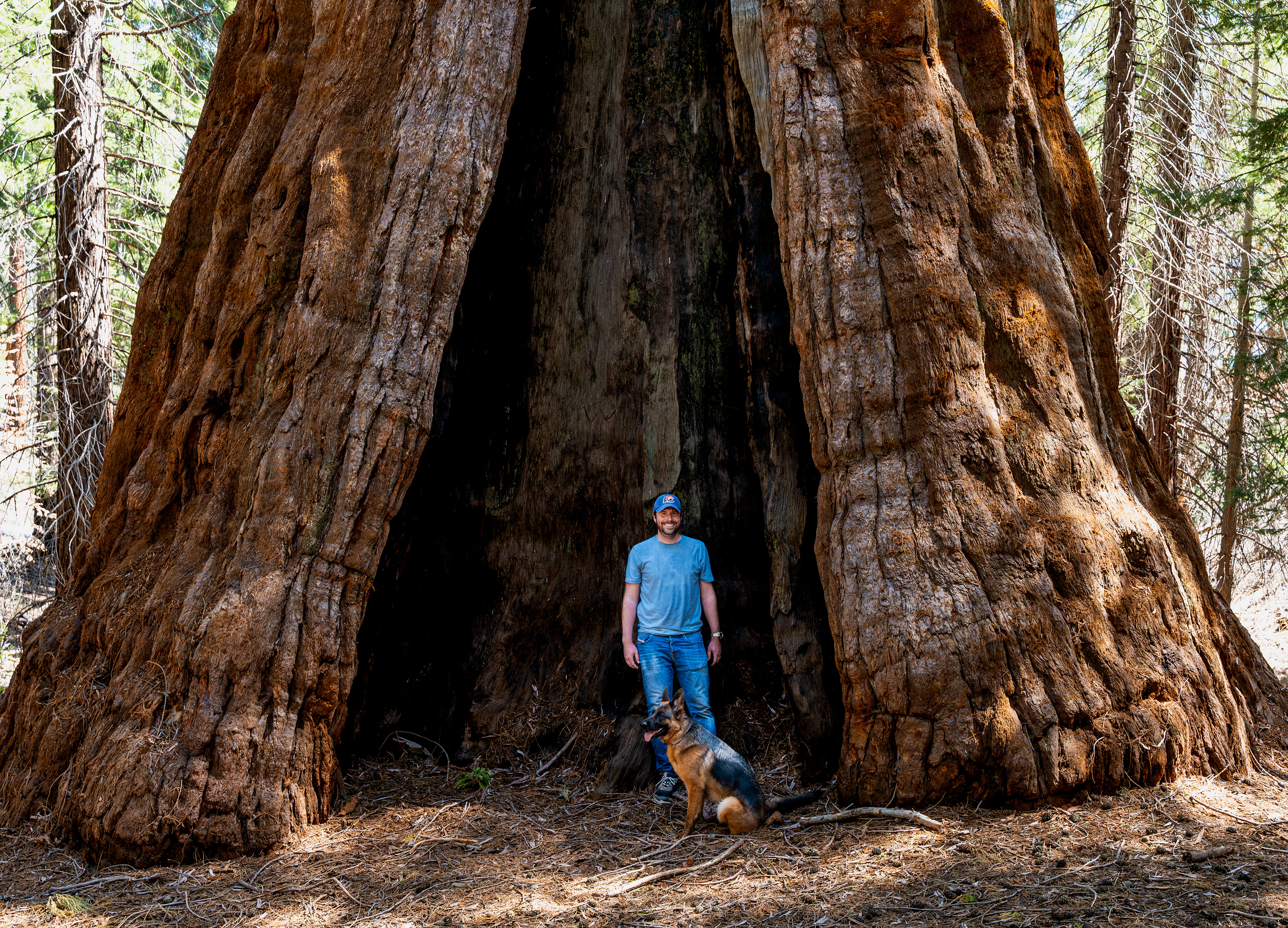 Sequoia National Forest