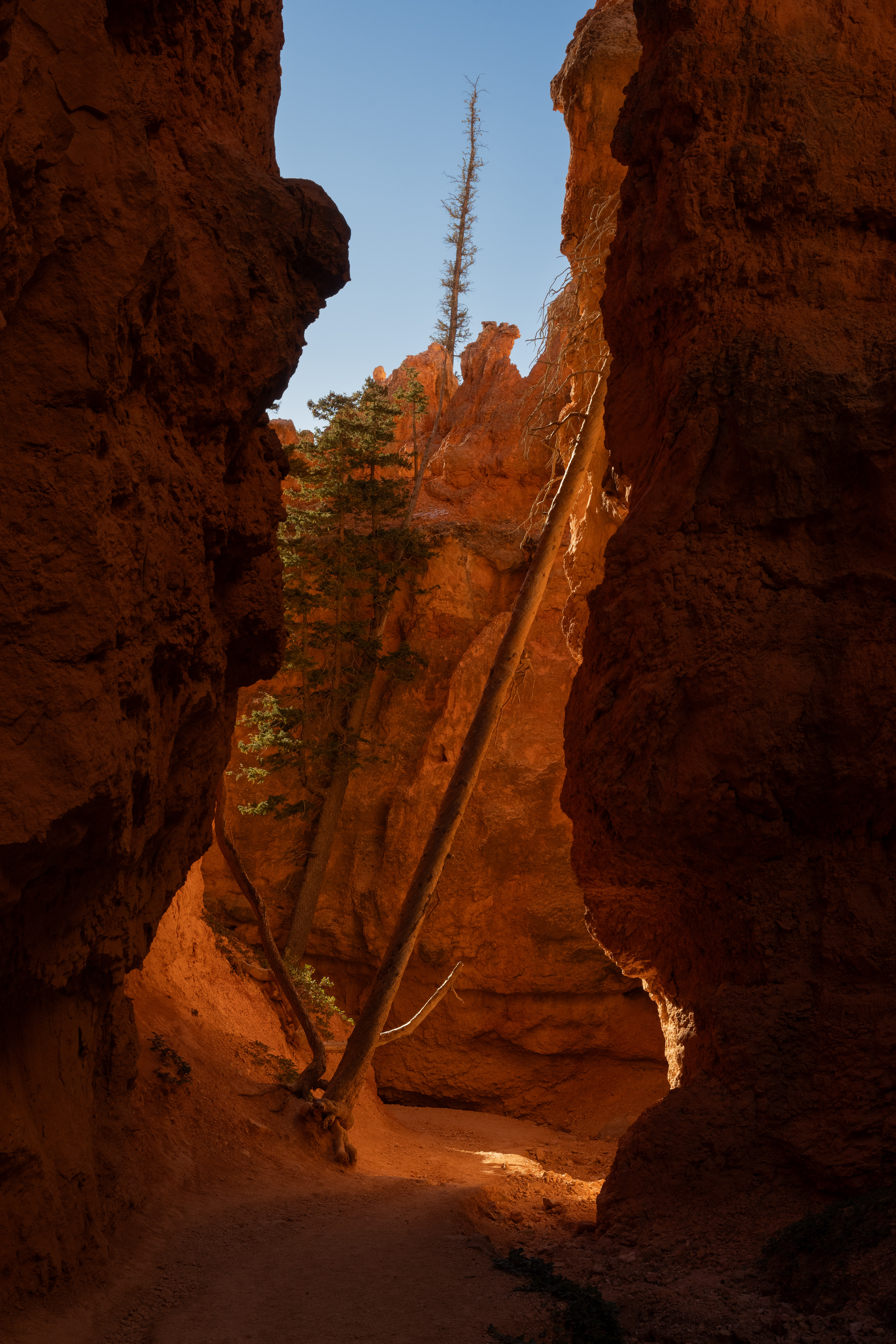 Bryce Canyon
