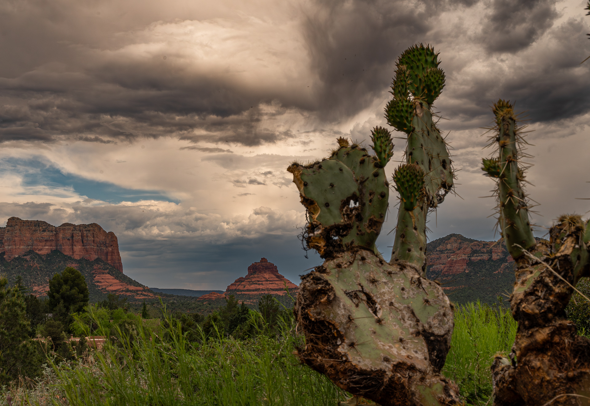 Sedona