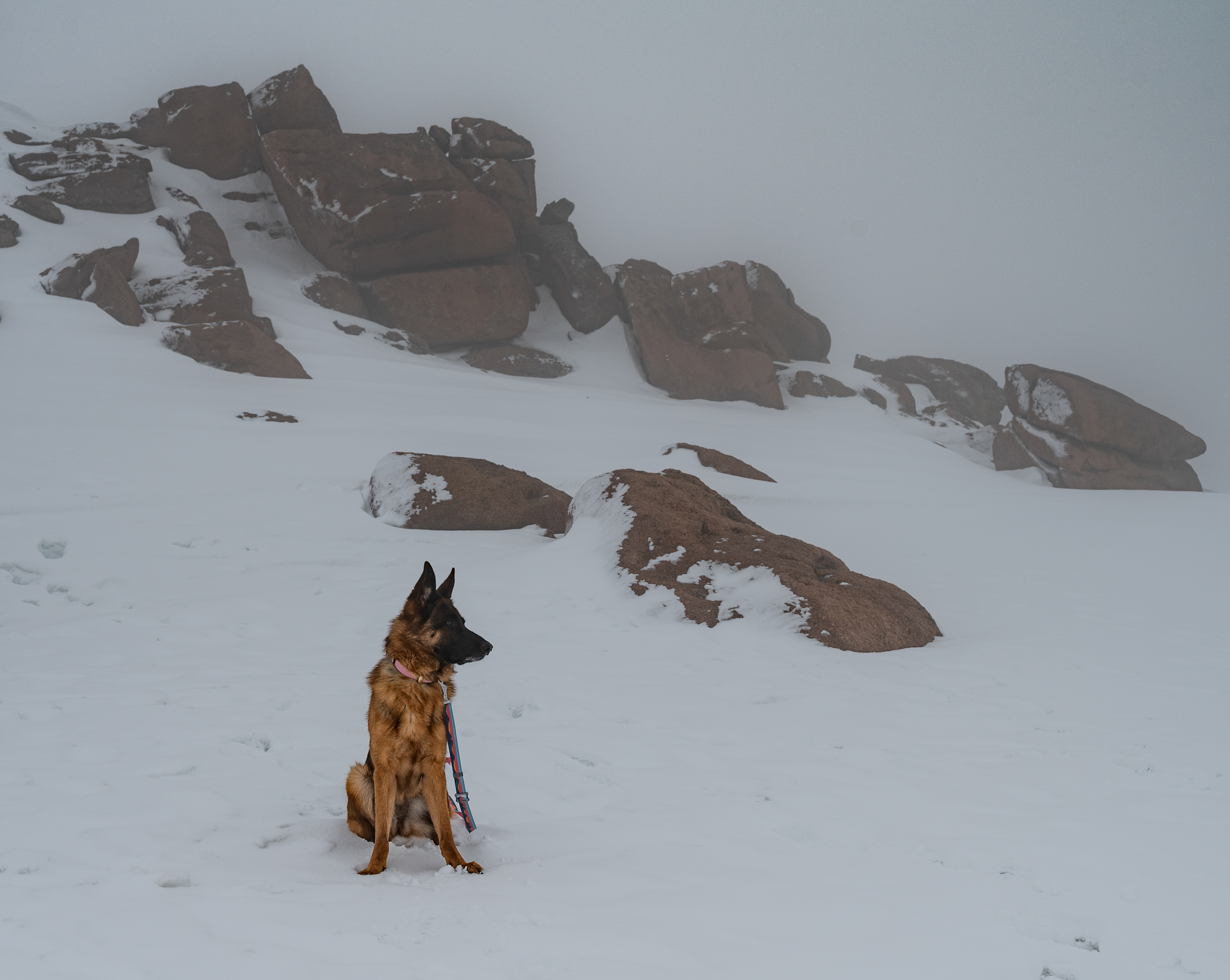 Pikes Peak