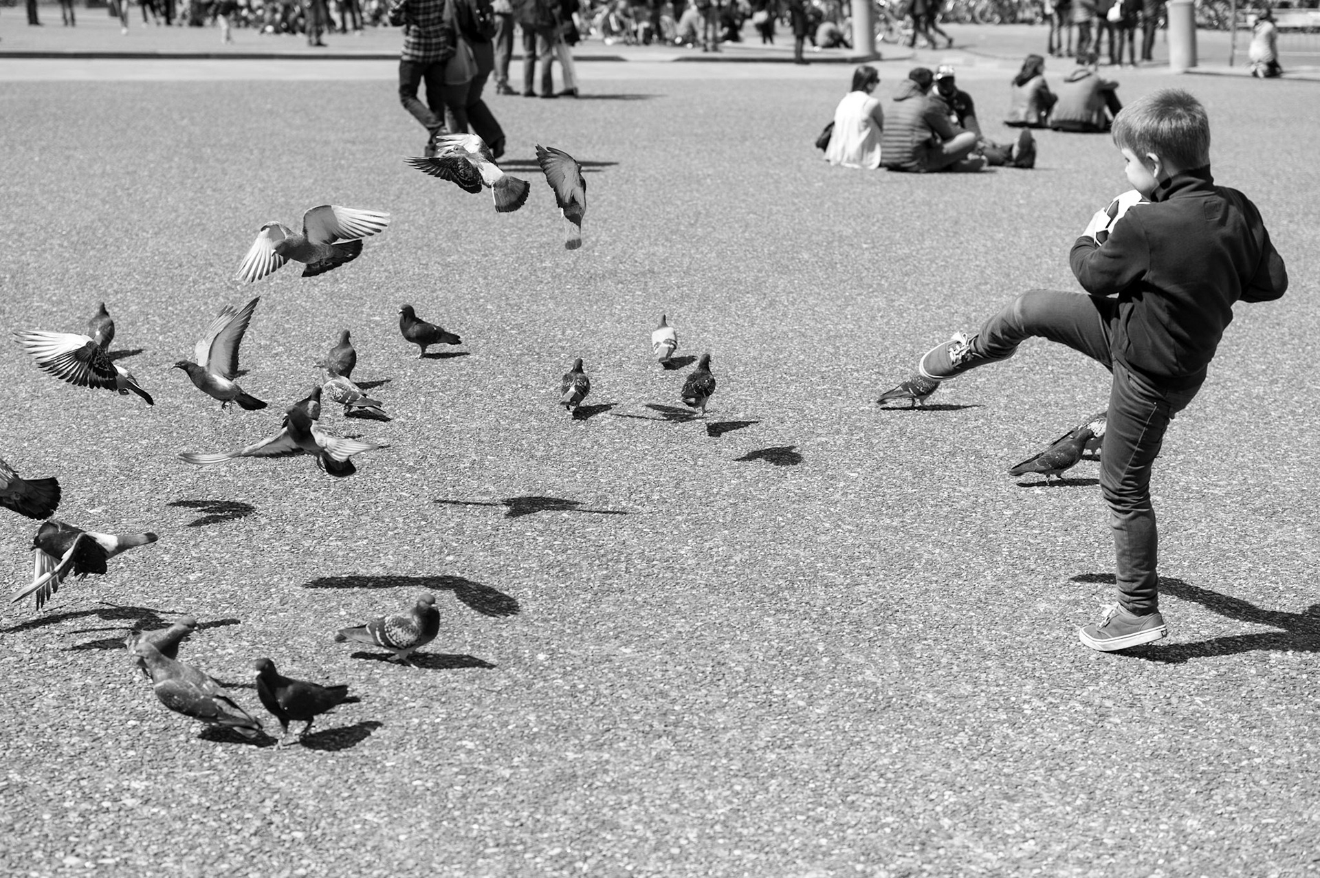Pigeon Football