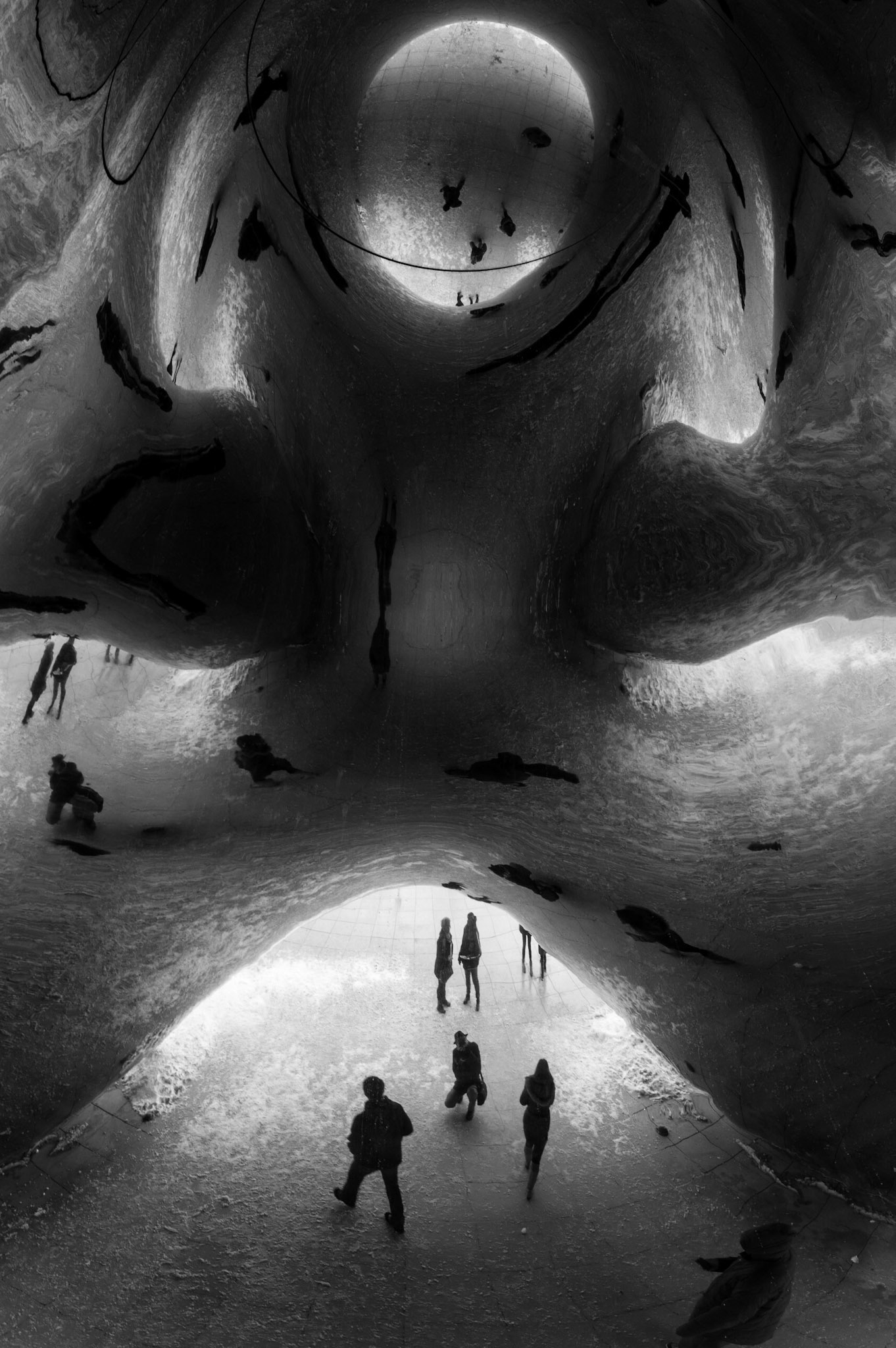 Chicago Alien
