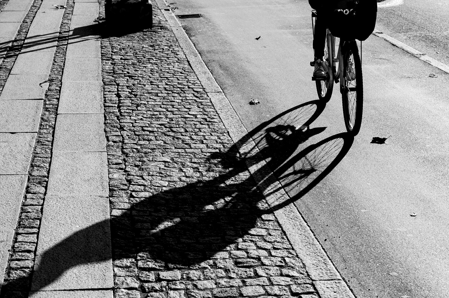 Cyclist Copenhagen