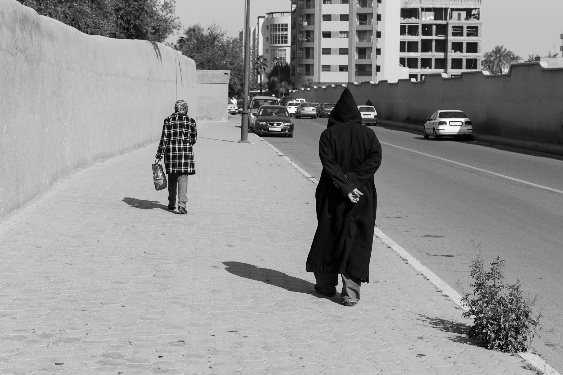 Hooded Follower