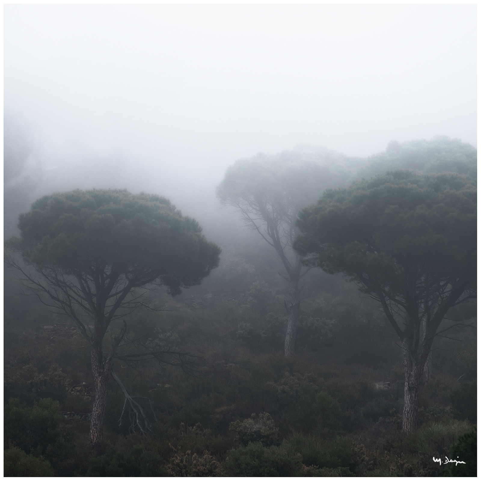 Serra de Rodes