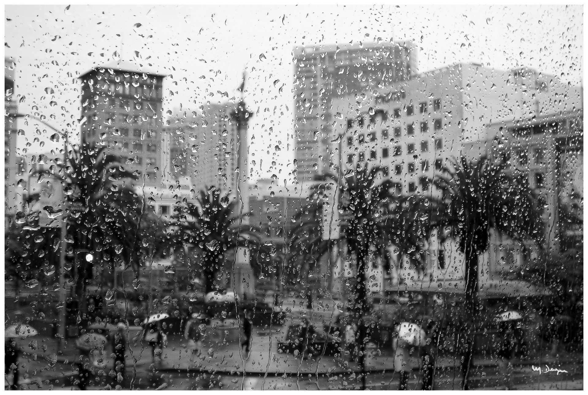 Rainy square