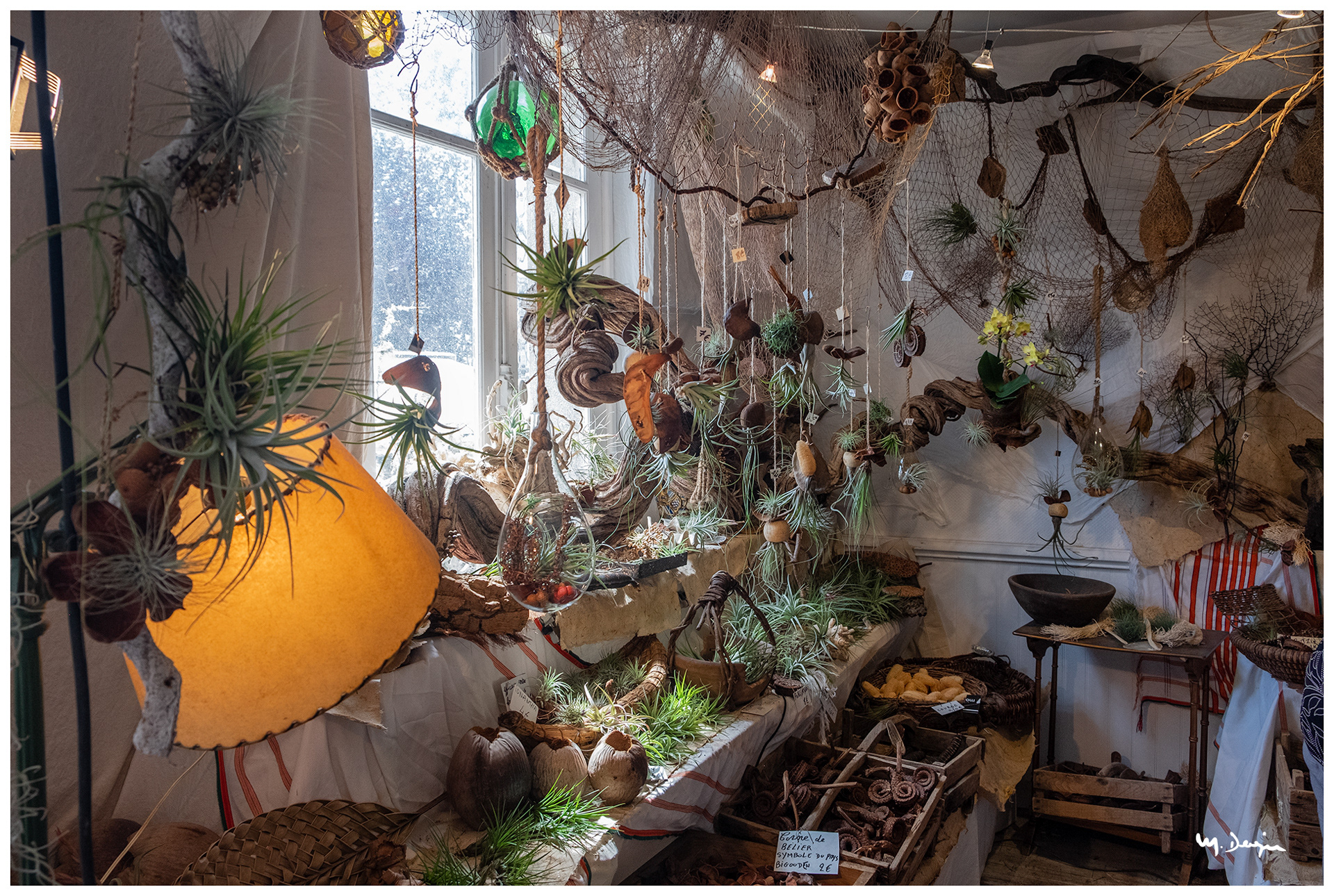 Boutique à Cancarneau