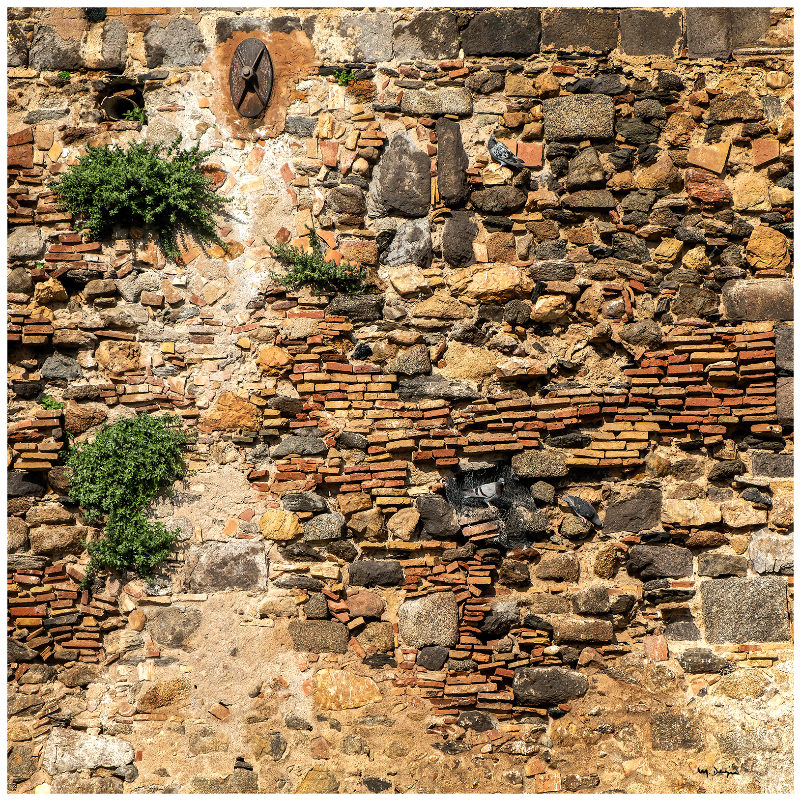 Muralla Castelló d'Empúries 1, 2019.