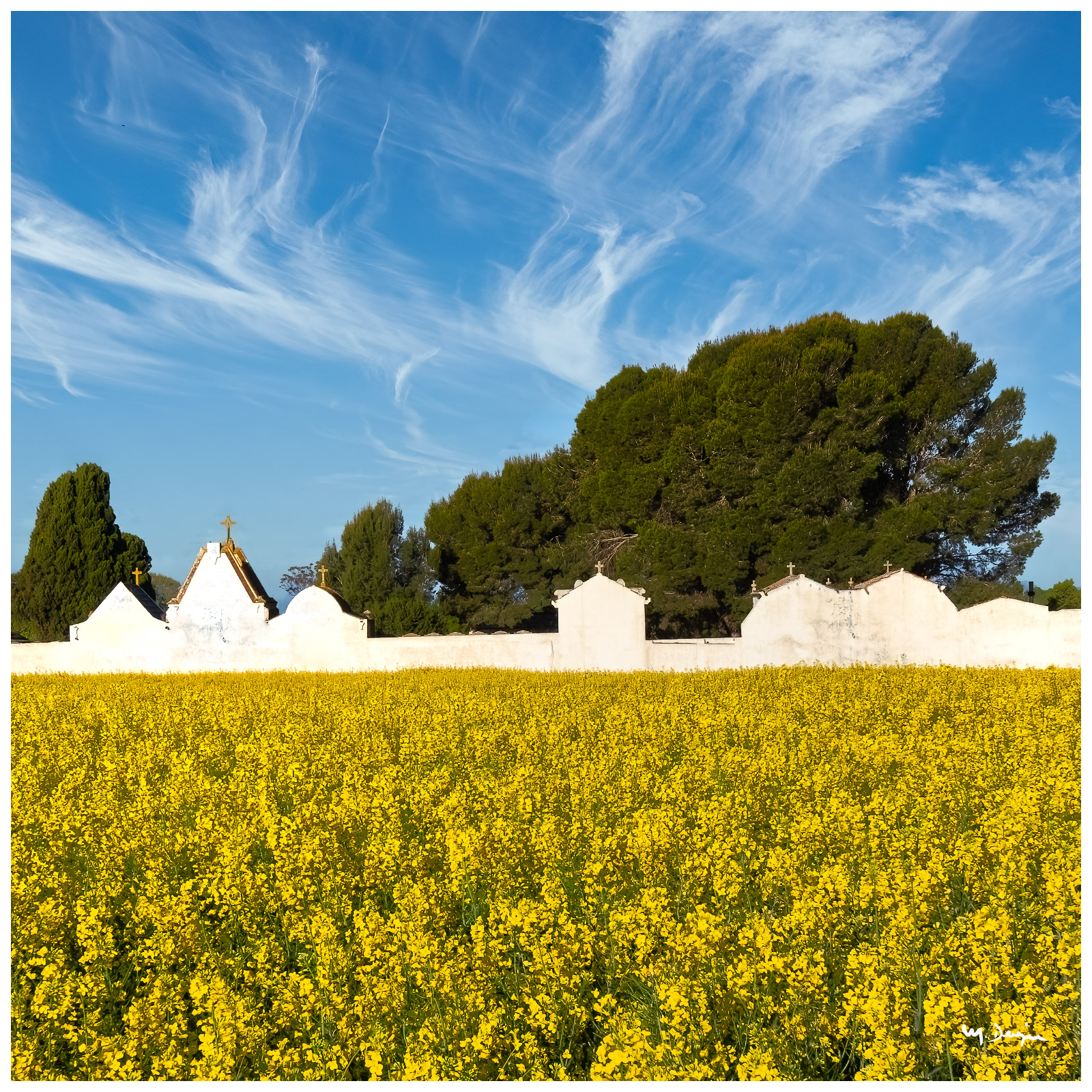 D'aquest costat en primavera, 2021.