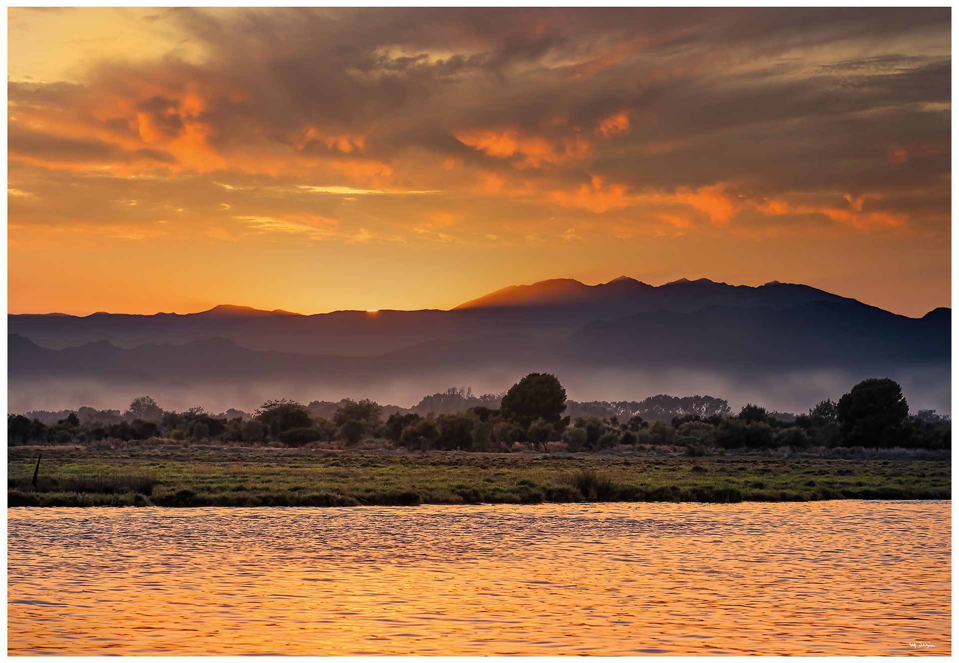 Vue sur les Aiguamolls de l'Empordà depuis la maison Trassard