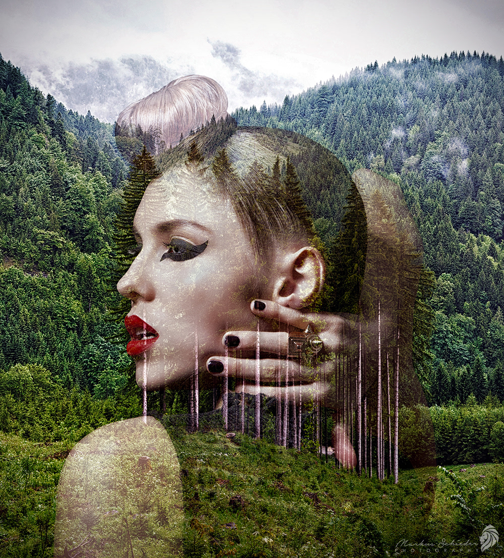 D-EX FINE ART - COLLAGE 