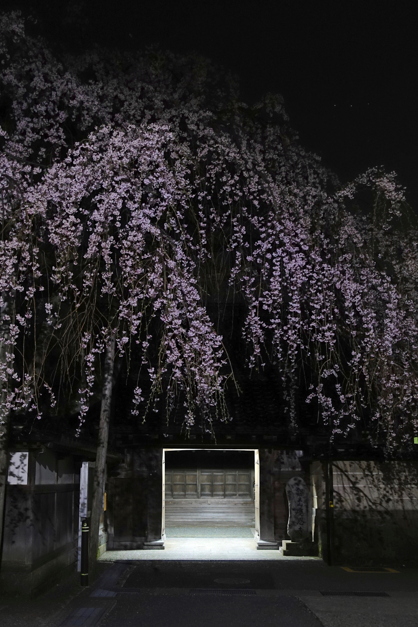 石引慶恩寺 右上にオリオン座