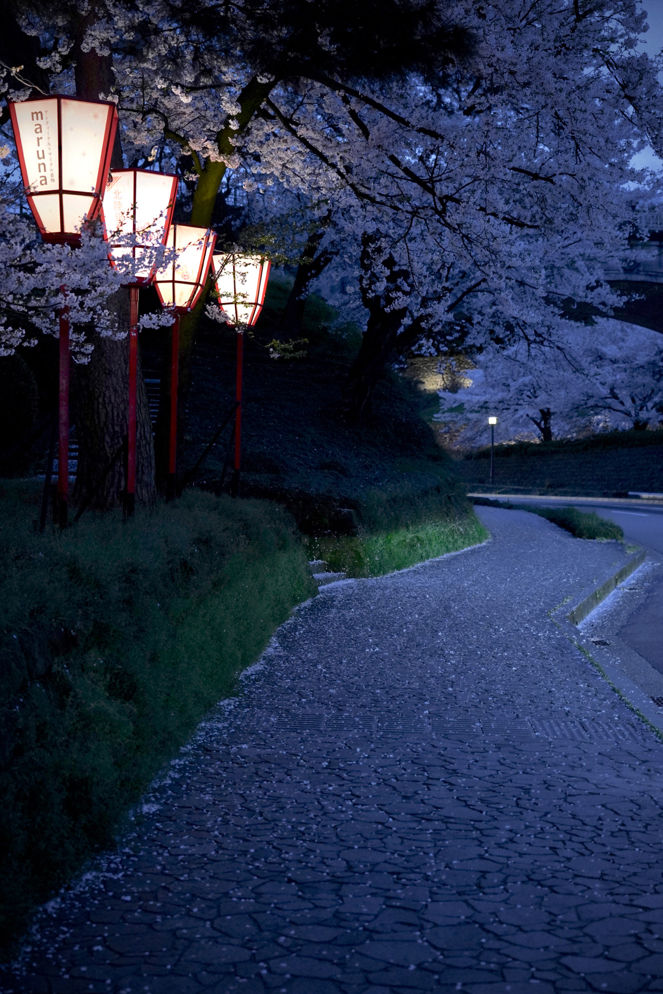 兼六園下バス停は桜の名所