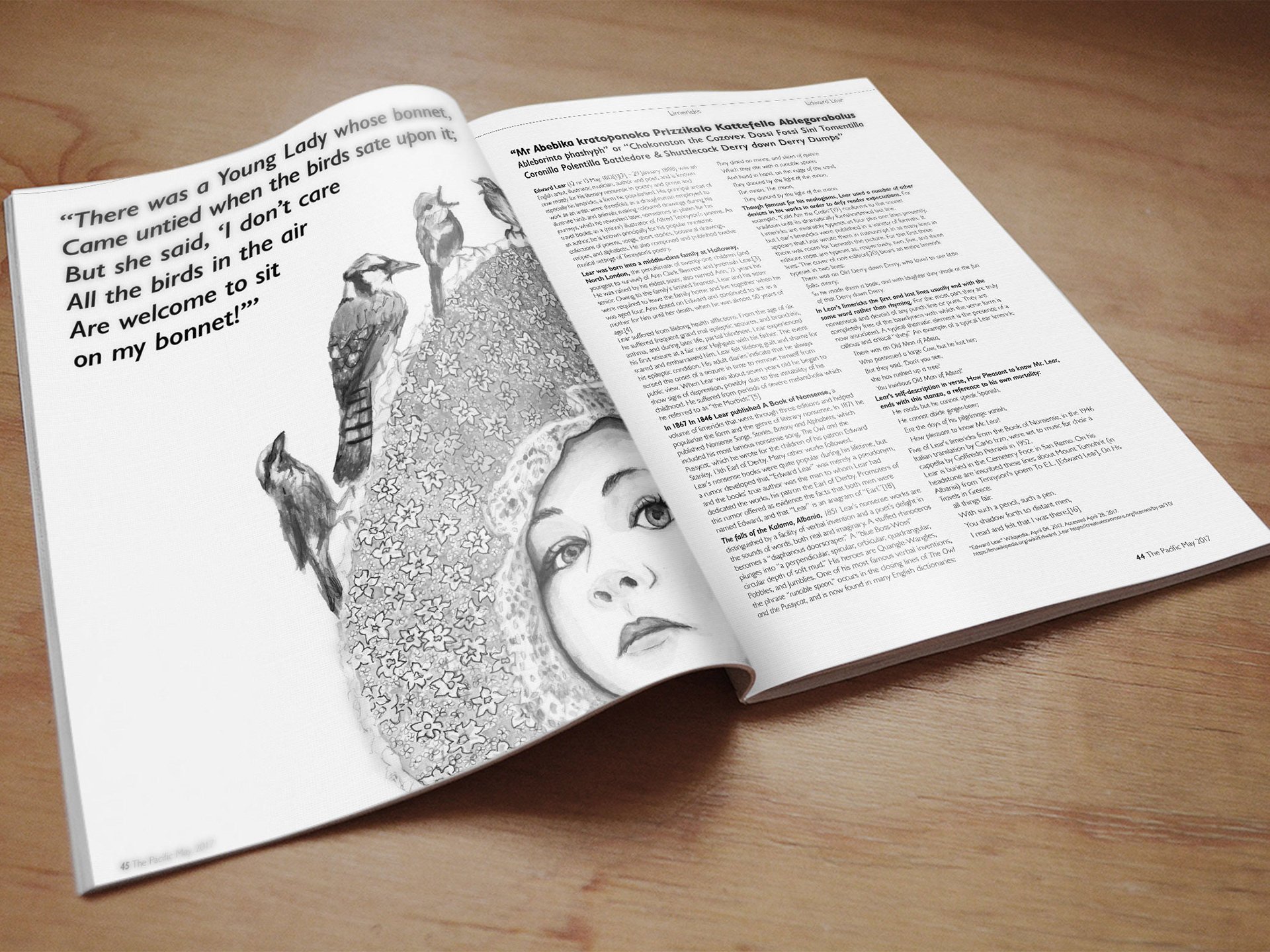 Bird Bonnet | Editorial Illustration as magazine article