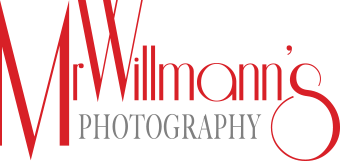Matthew Willmann